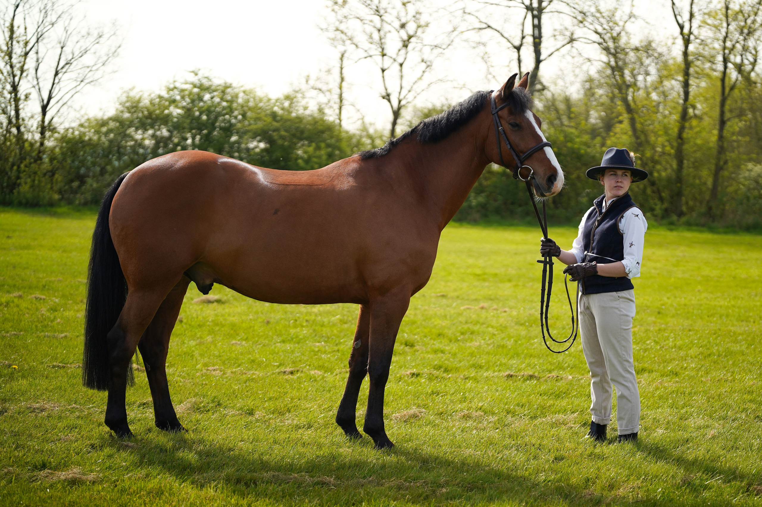Showing. Leicestershire Equine Photography by El | Authentic Equine Portraits & Events