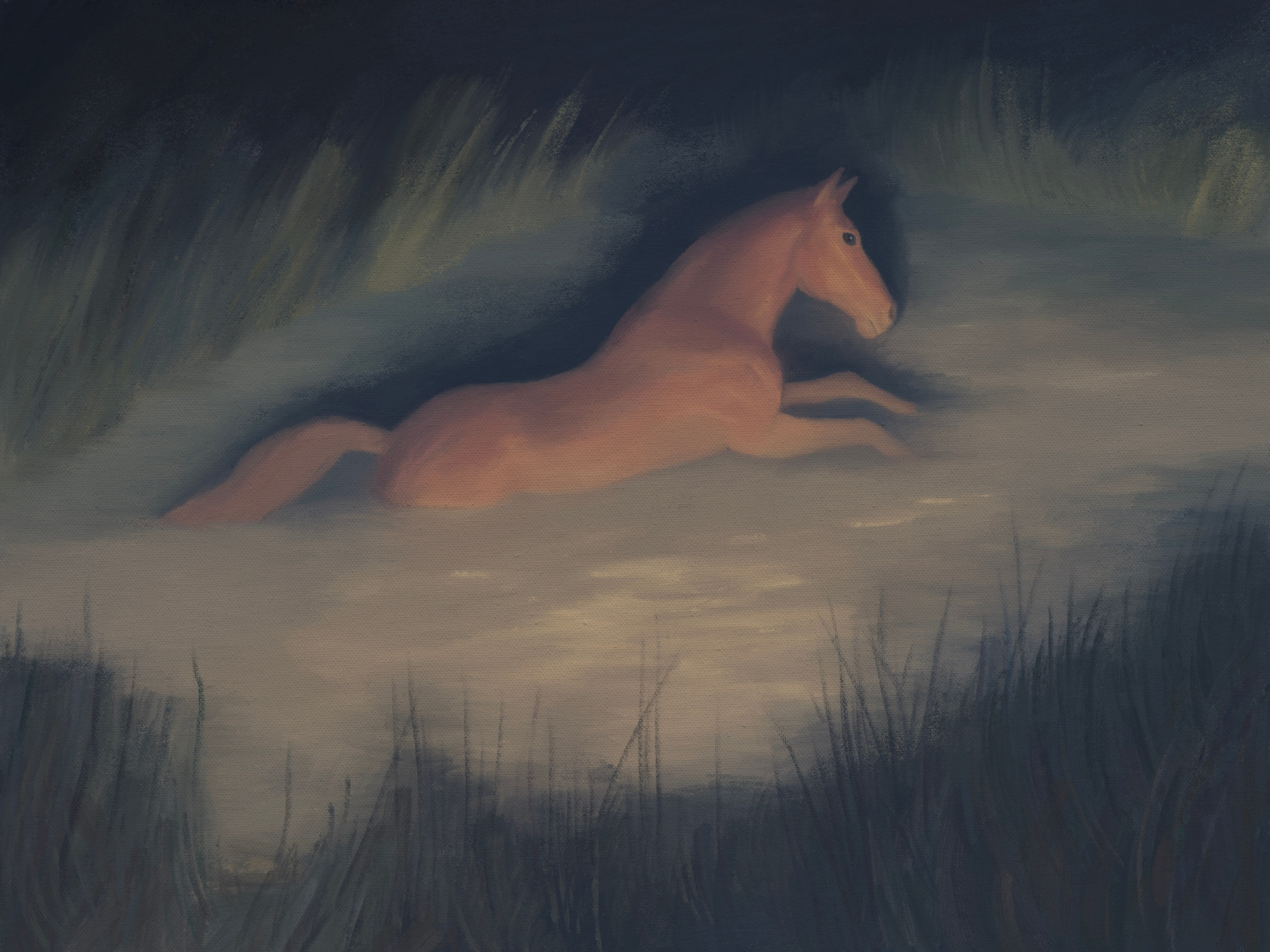 Observations. Marina Antonova