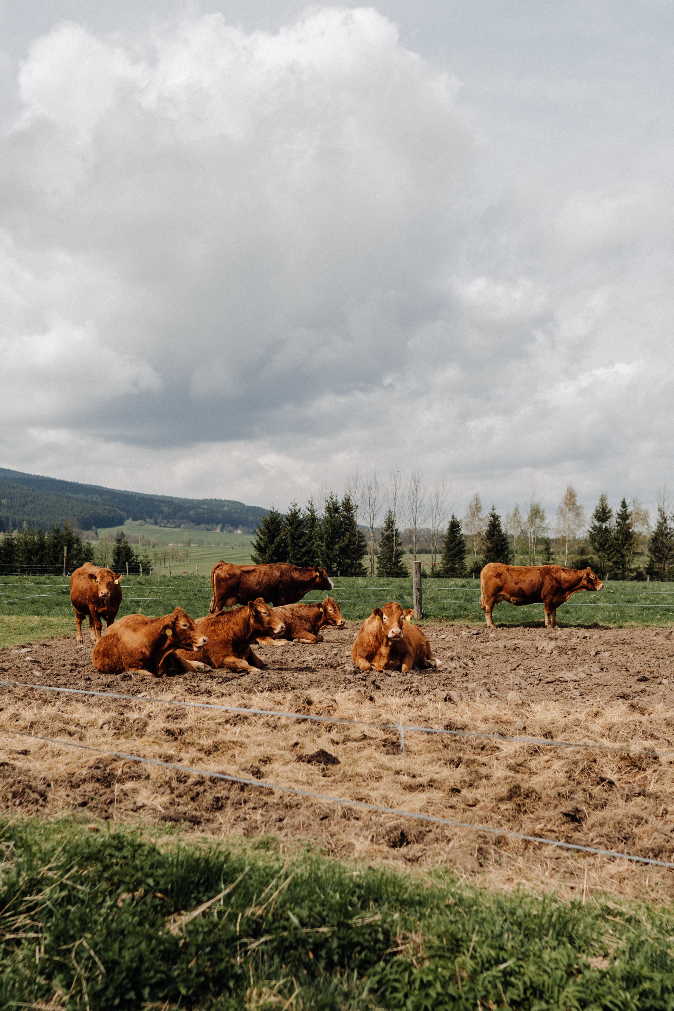 Czech Republic. Фотограф в Праге Анна Лебедева