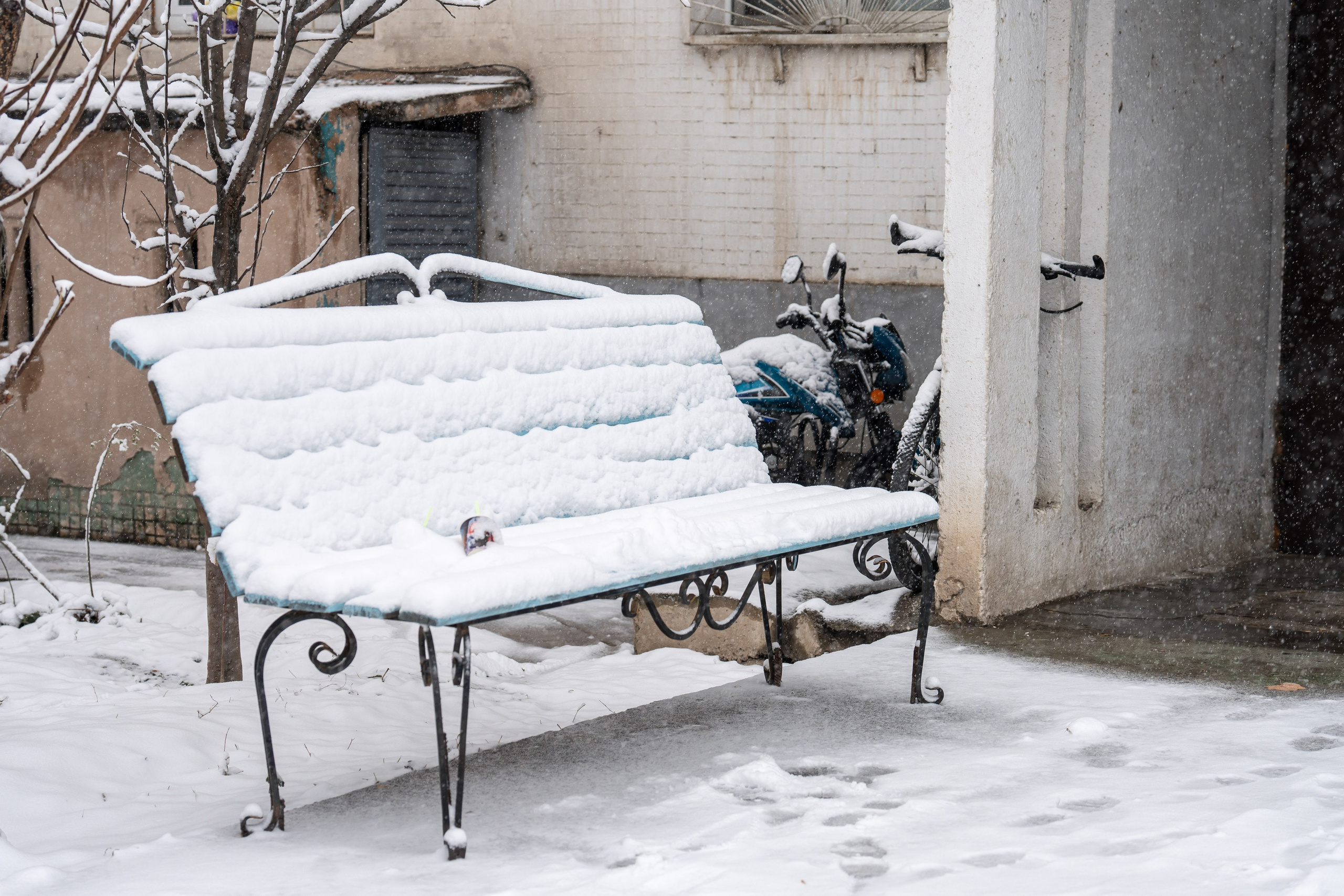 Снег. Георгий Намазов | Фотограф в Ташкенте