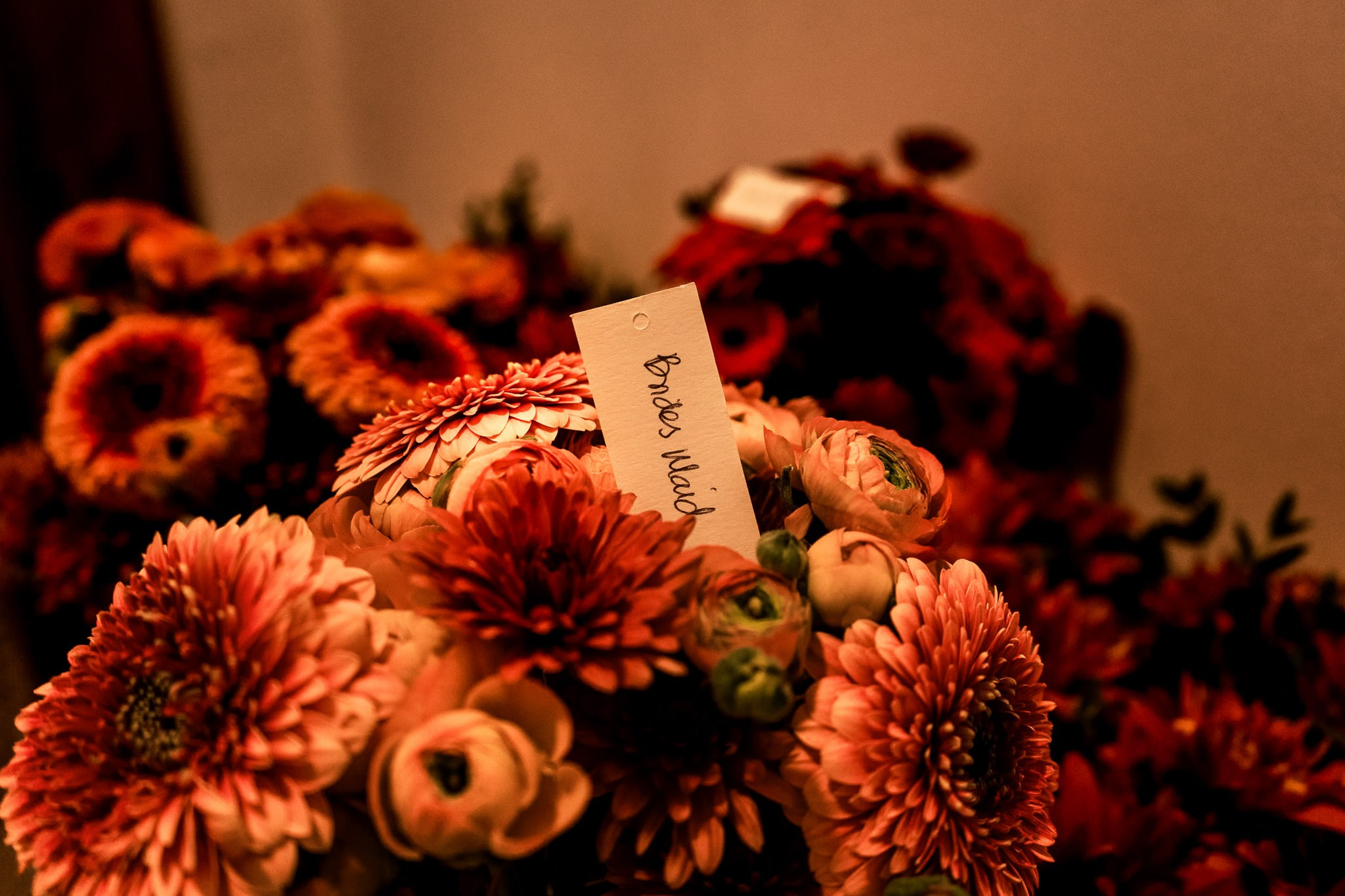 Bailey & Jacob. Wedding and family photographer in Mexico City