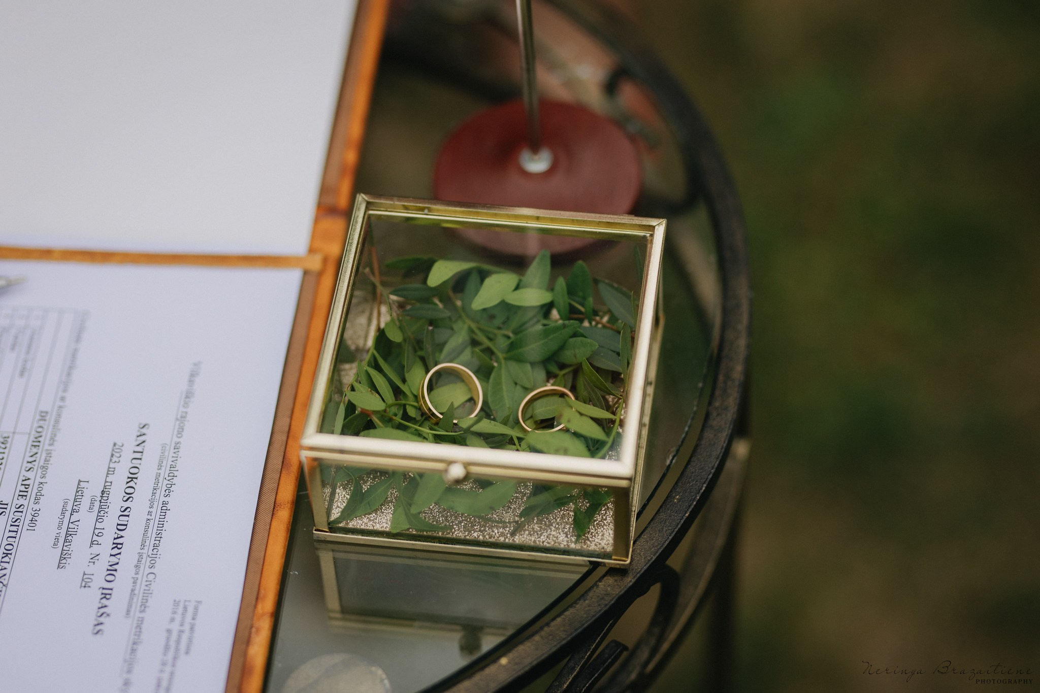 Gabrielė ir Tomas I Vilkaviškis