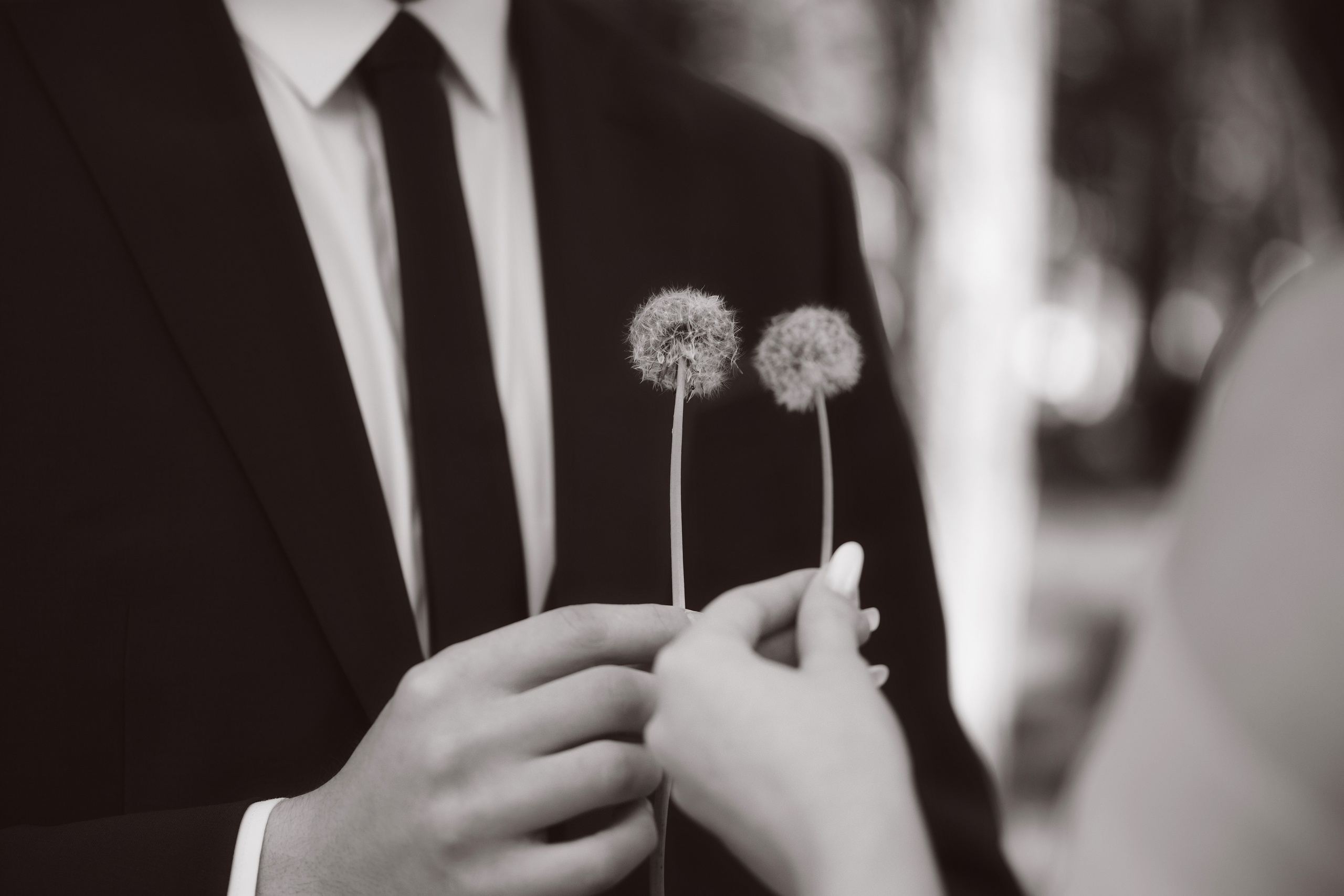 Ceremonie Civila Andreea si Claudiu. Laurentiu Stefan StoryTeller