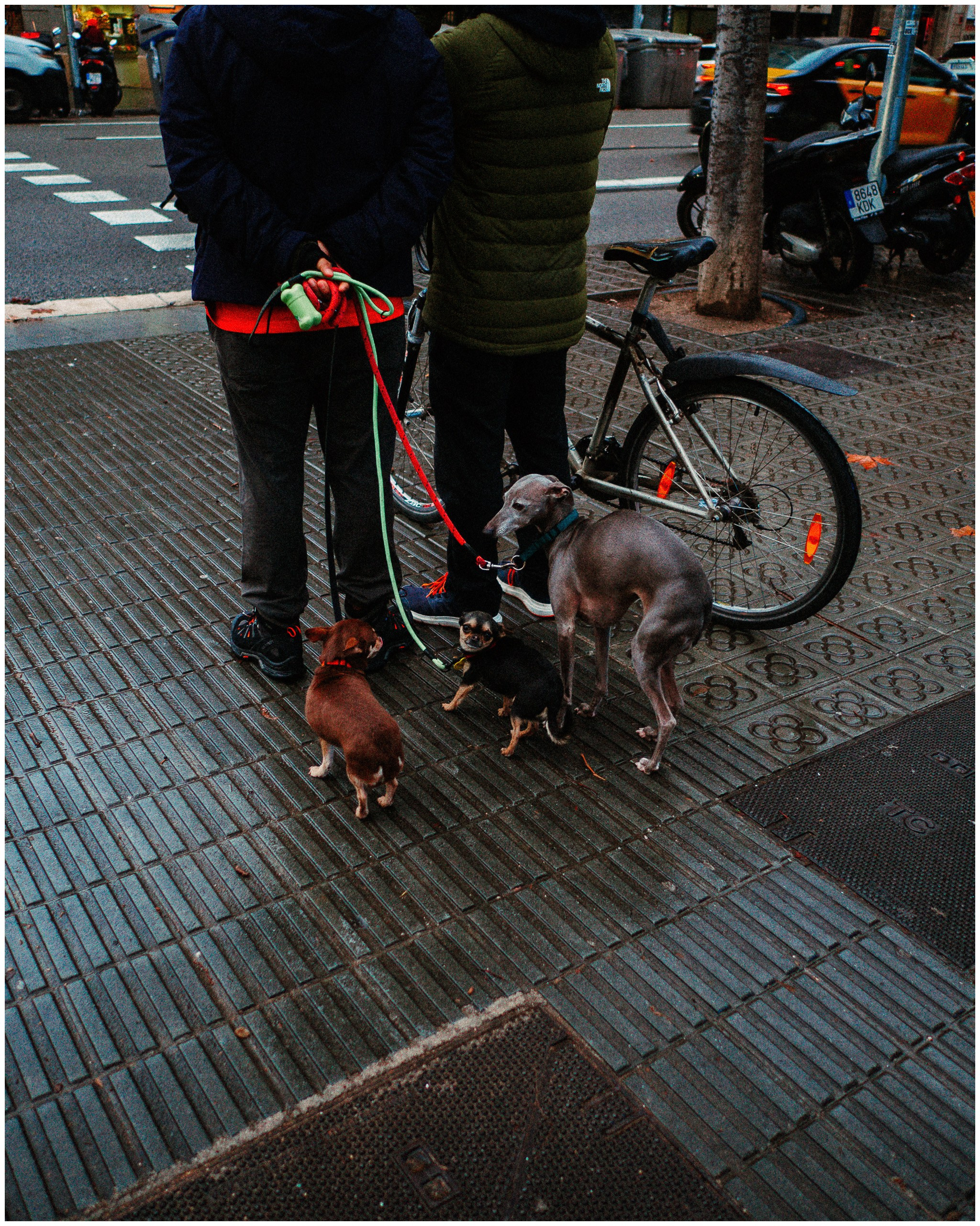 BARCELONA. Inna Mendelson — Photographer