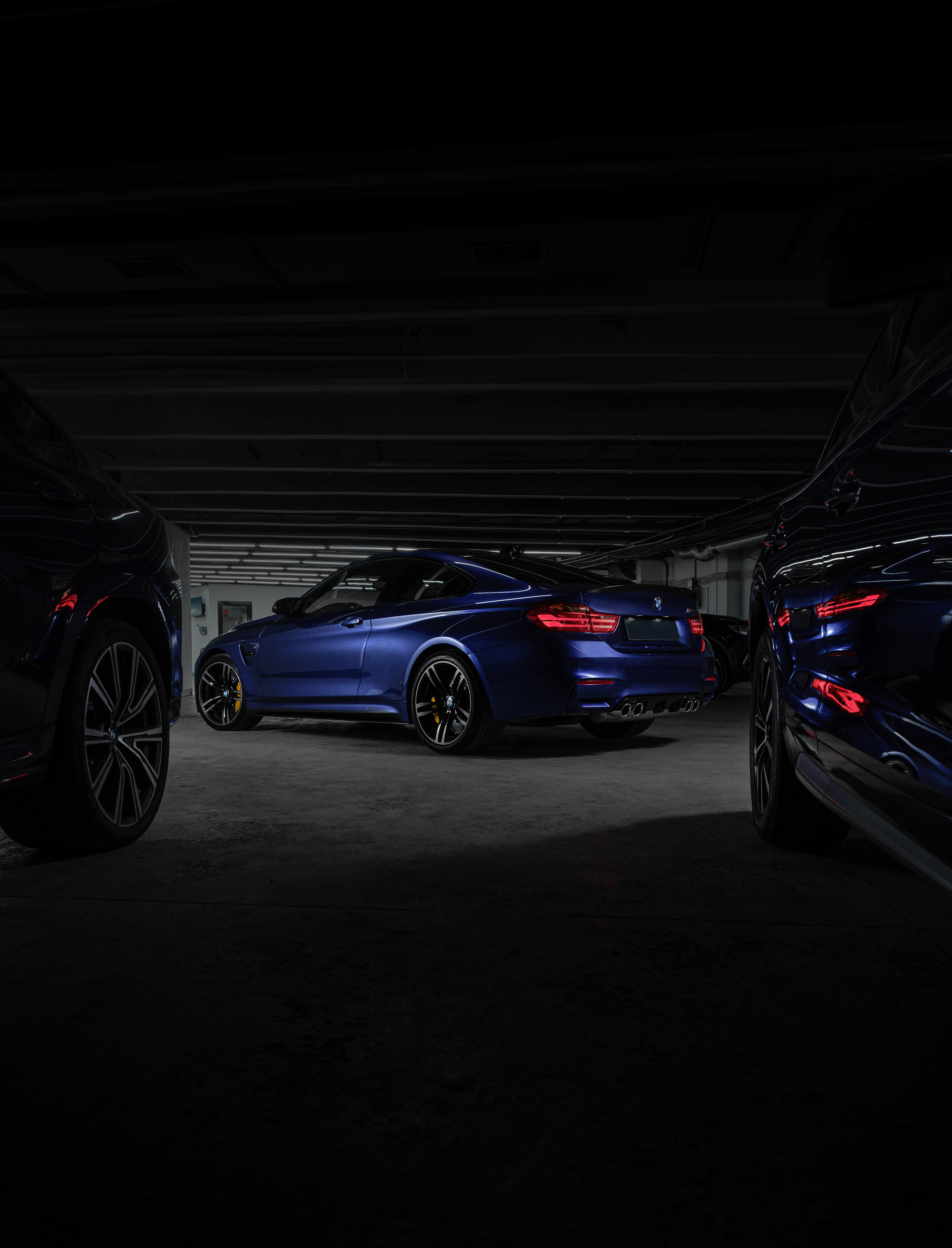 Фотограф в Ташкенте Павел Насенников