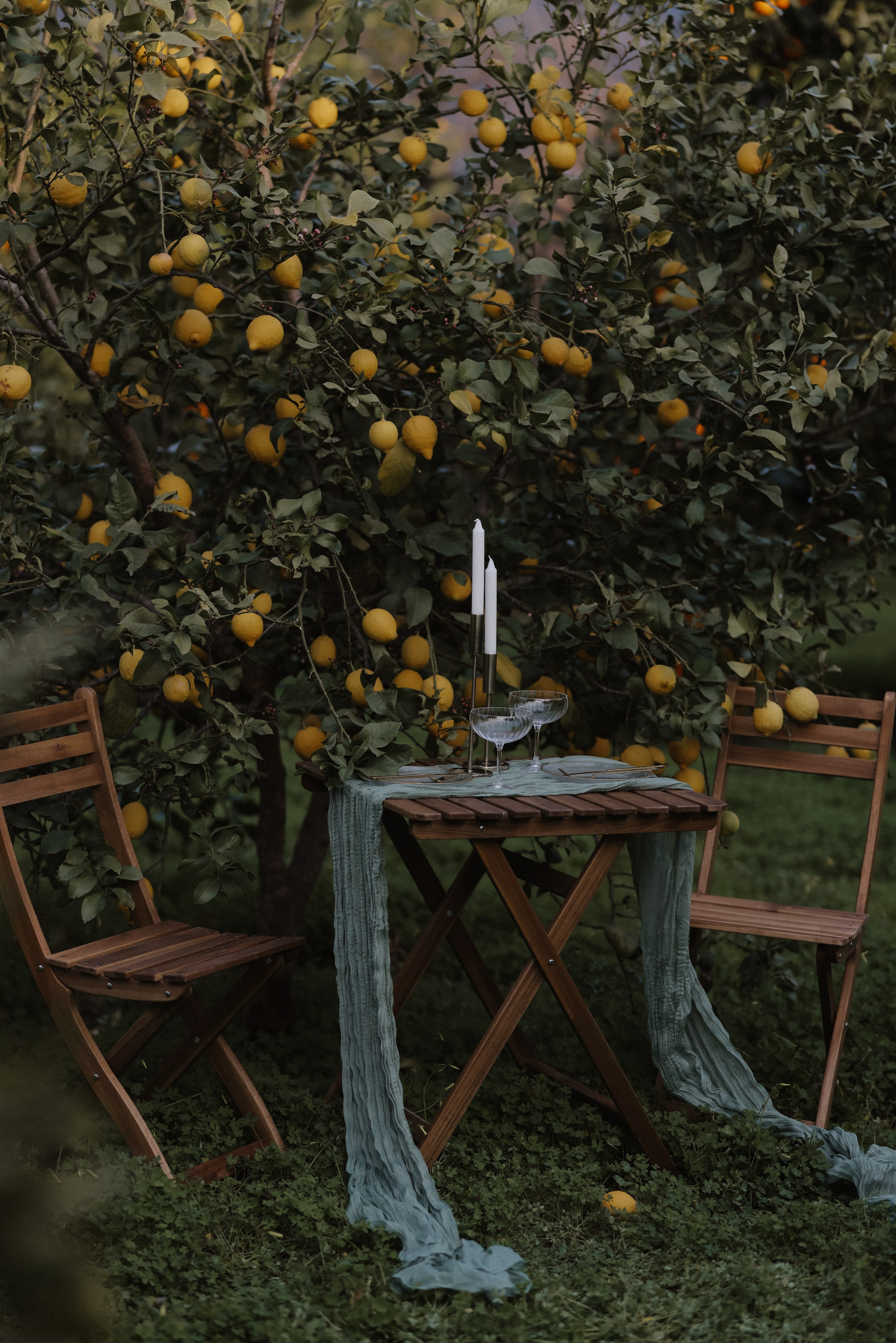 Романтическое оформление пикника на пляже в Турции – нежные цветочные композиции, уютные подушки и стильная сервировка.Свадебный декор в природном стиле: пастельные оттенки, продуманное оформление и атмосфера уюта.Организация пикников и свадеб в Турции – стильное оформление, красивые детали и незабываемая атмосфера.Пляжный свадебный декор с элегантной сервировкой, цветами и комфортной зоной отдыха.Фотограф, декоратор и организатор мероприятий в Турции – создаем идеальные свадебные оформления и атмосферные пикники.