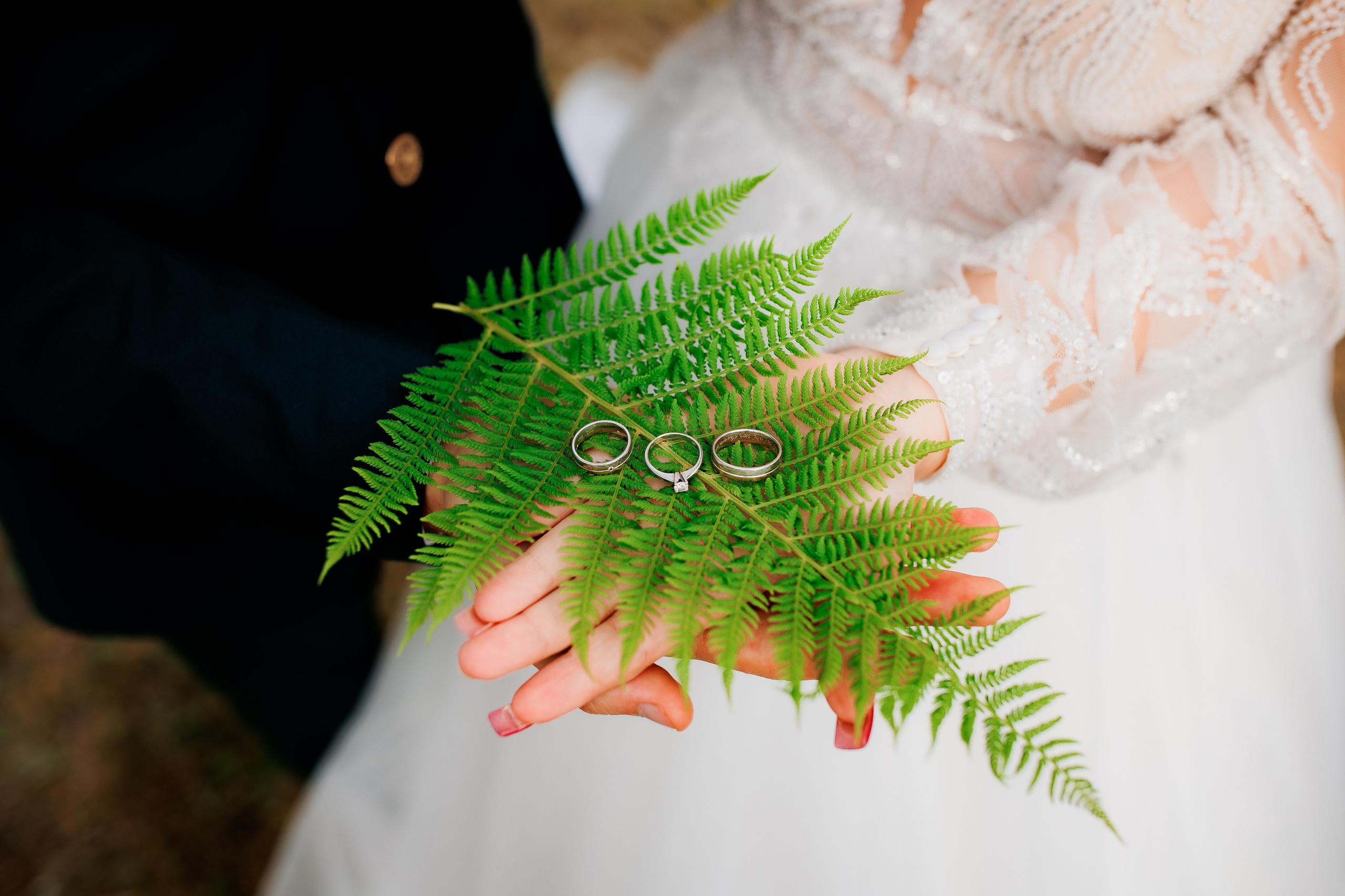 Videografie. Fotografie & Videografie de nuntă în Timișoara