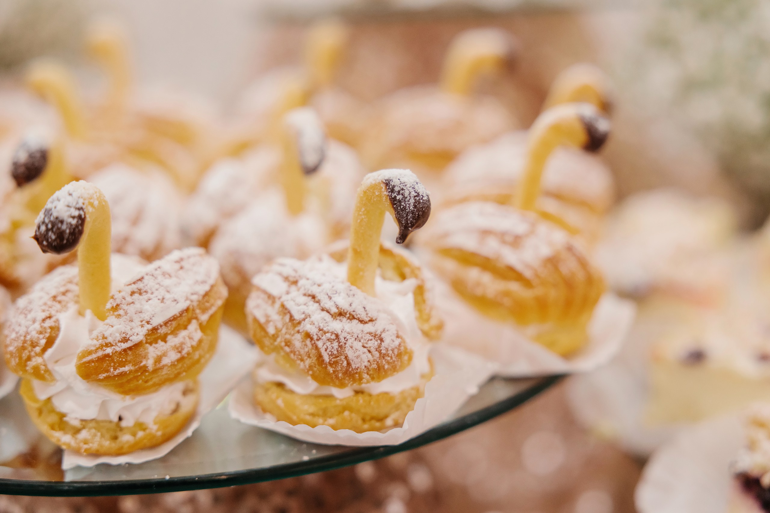 31.08.2024 Wedding. Wedding family event photographer in Chicago Nick Yushevich