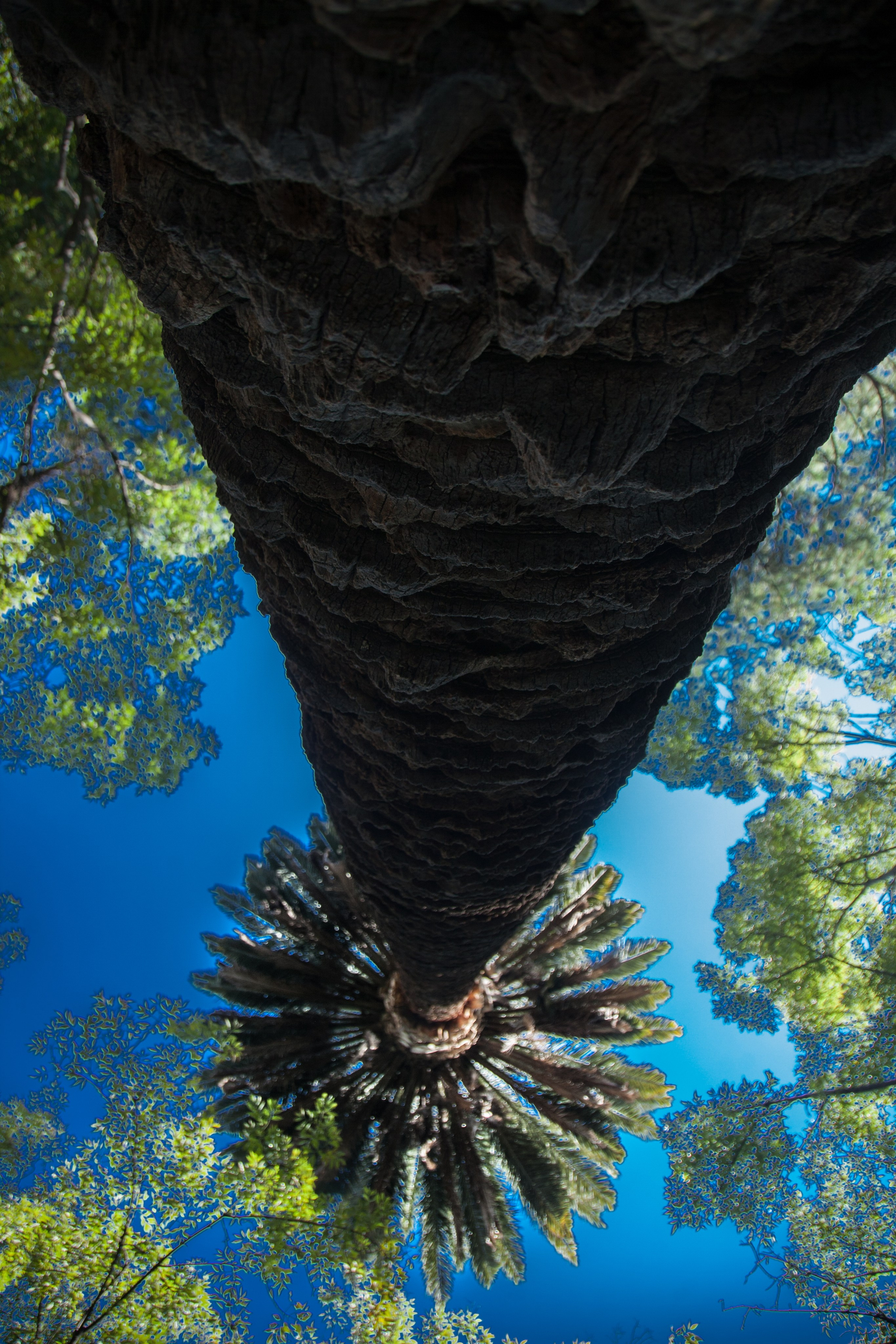 EXHIBITION. Lero Photographer and a set designer|individual custom portrait and advertising photography in Zutphen