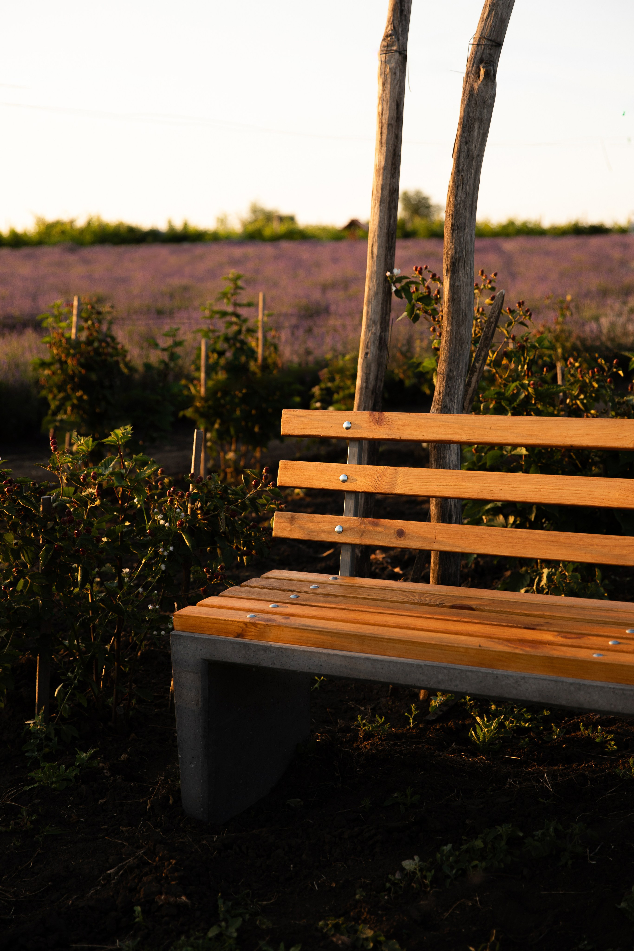 Companie „DecorStone”. Fotograf și Videograf | Chișinău, Moldova