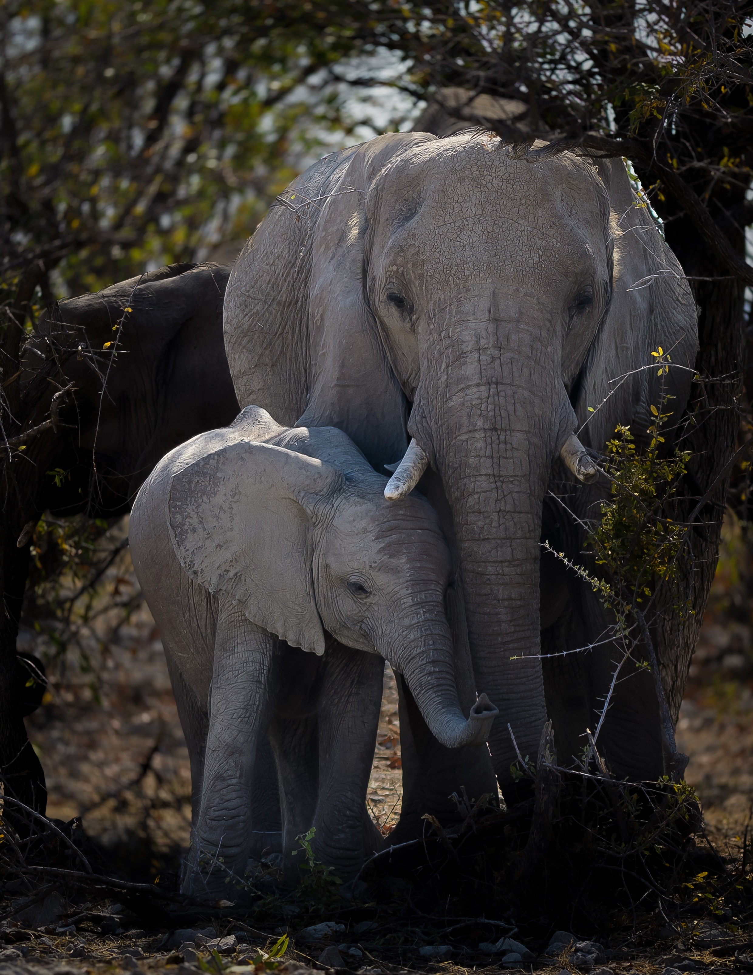Travel. Klausenburg Photography