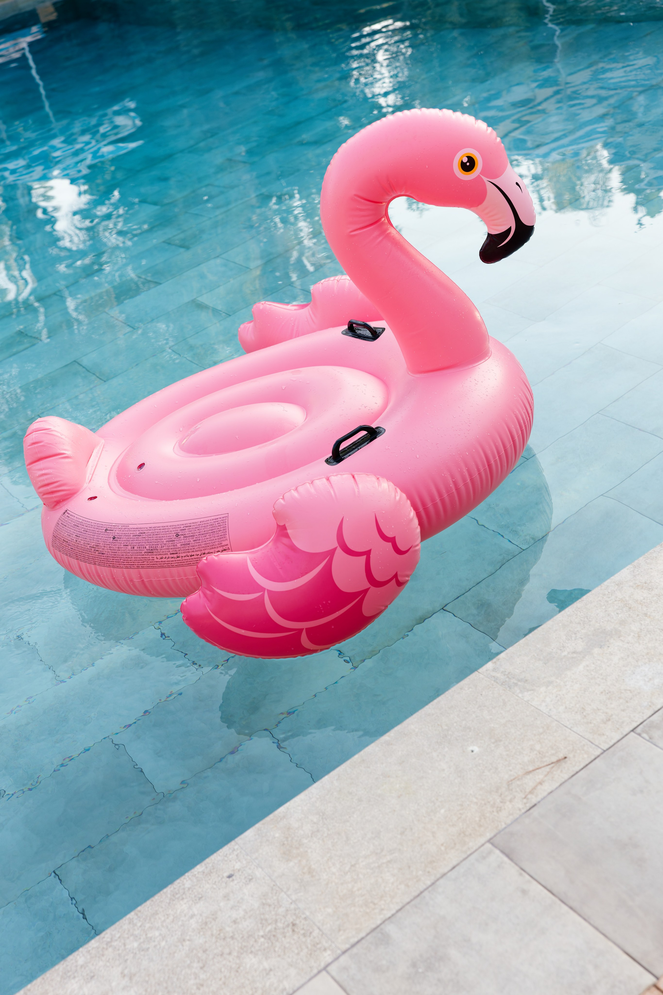 Haldi Ceremony & Mehndi Night & pre-wedding dinner, Barcelona