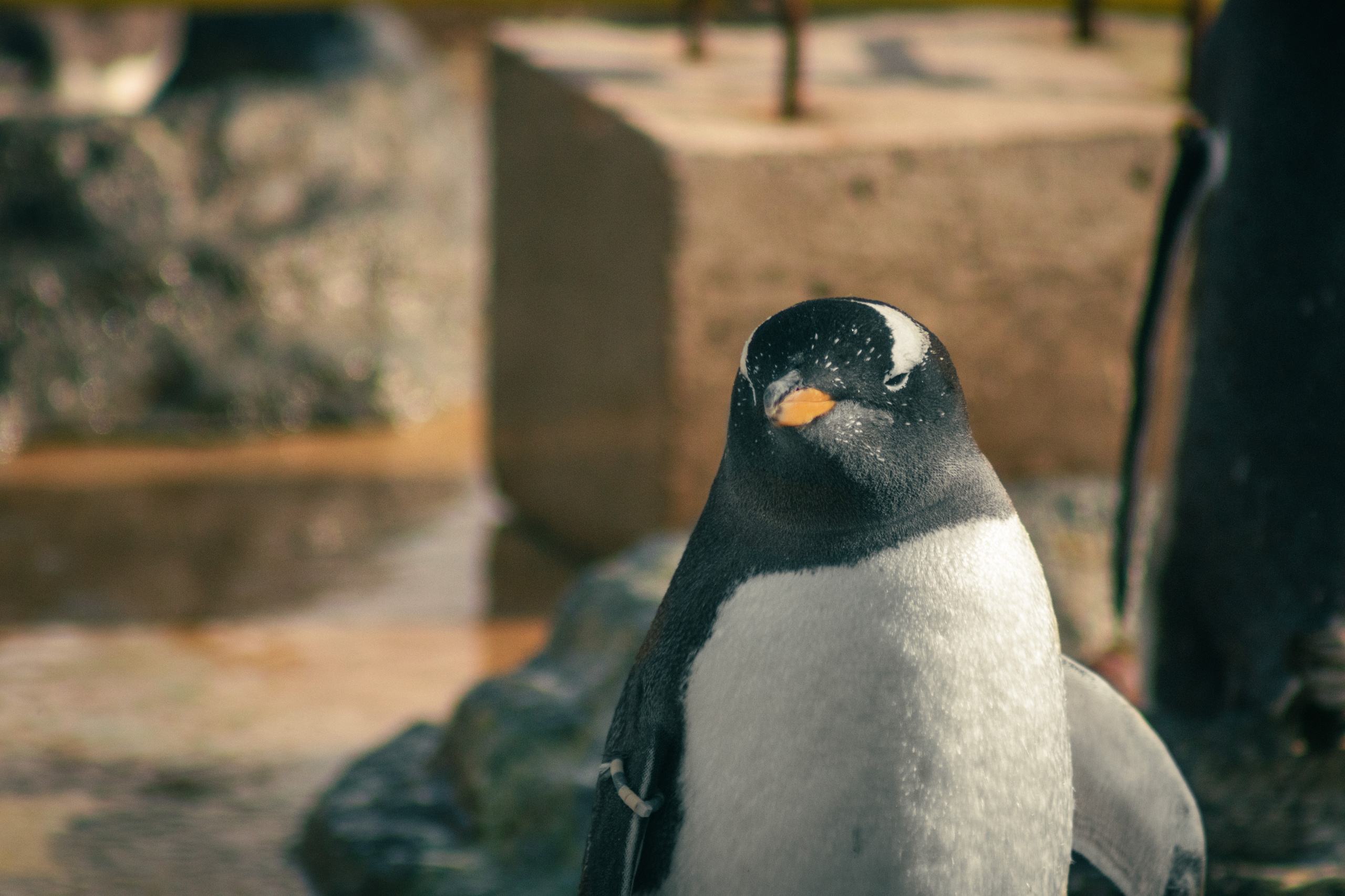 Nature. Portrait and Street photographer in Vilnius Edgar Shaipunas