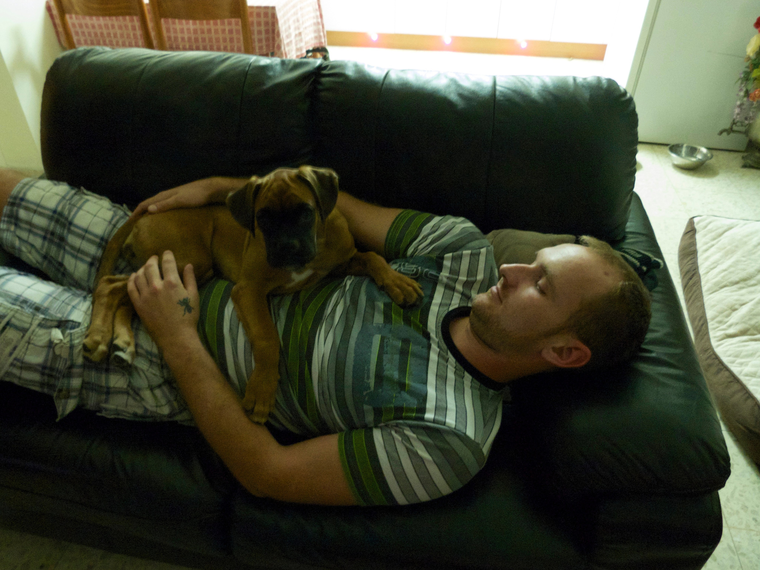 My ״Star״ Boxer Dog