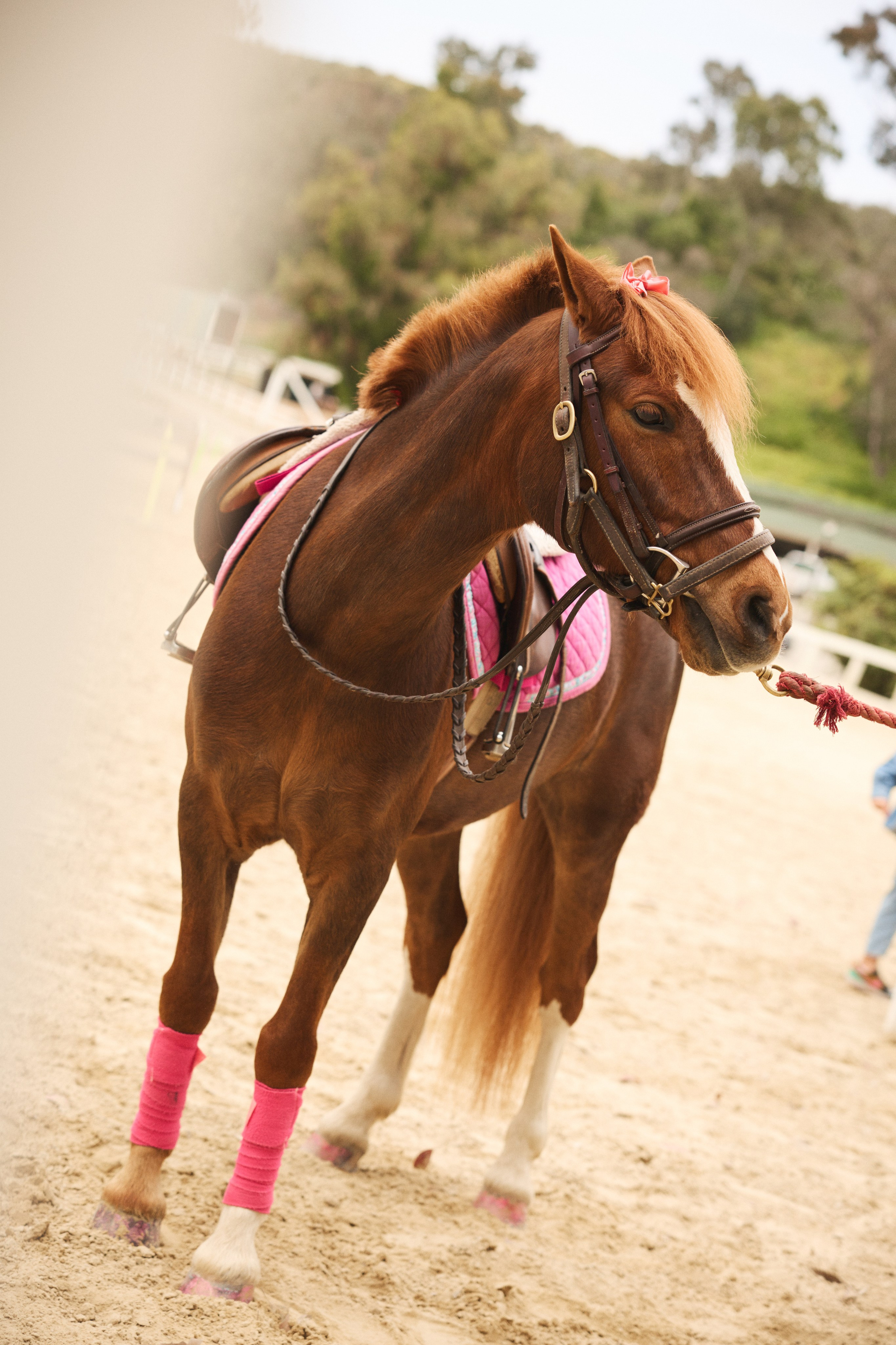 Events. Dave Grit Photography