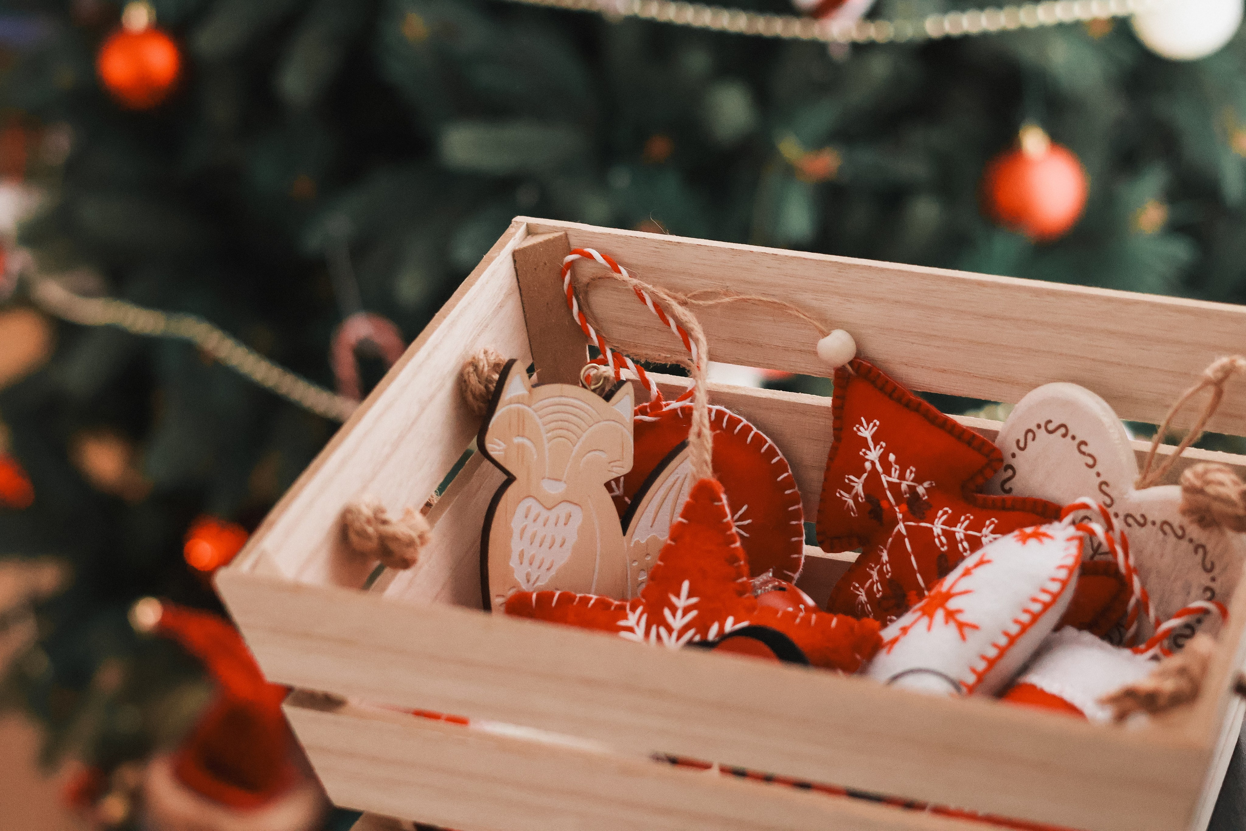 Christmas 2025. Eugenia Guryev Photography | Portrait & Family Photographer in Moncton, New Brunswick