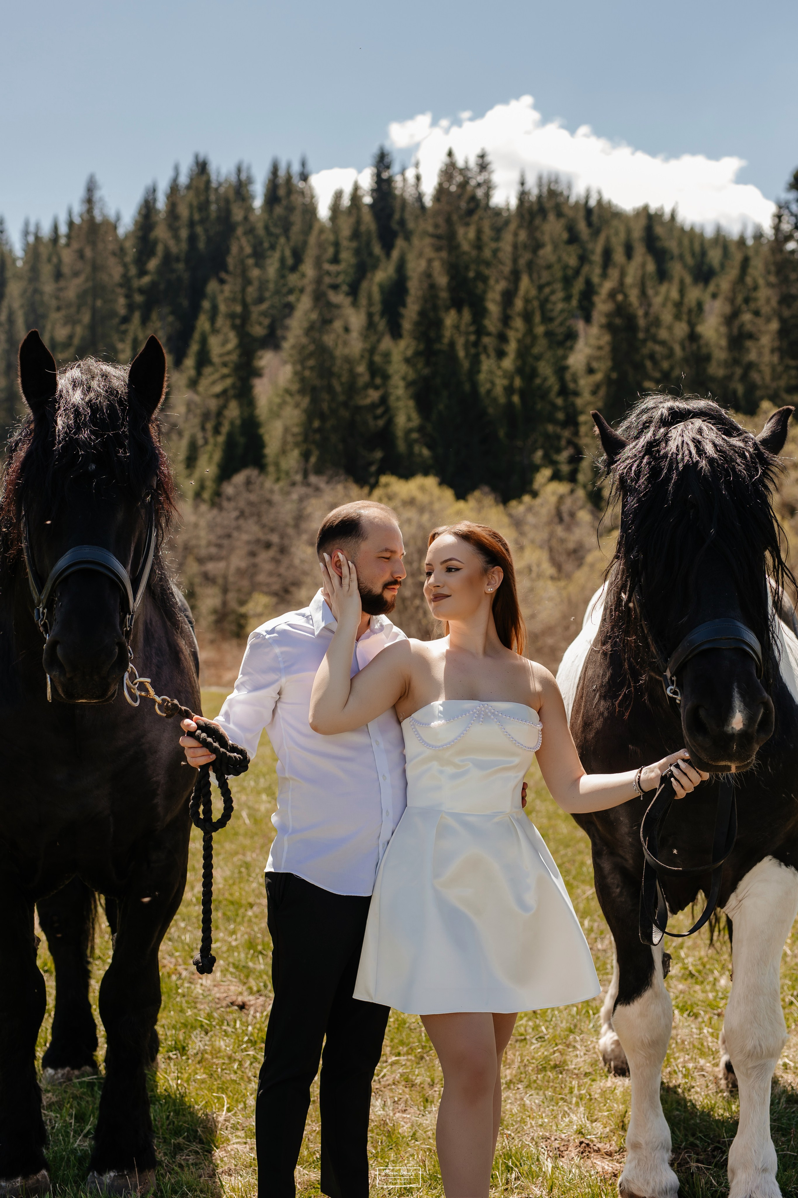 Save The Date — Ioana & Cătălin. Pagină Principală