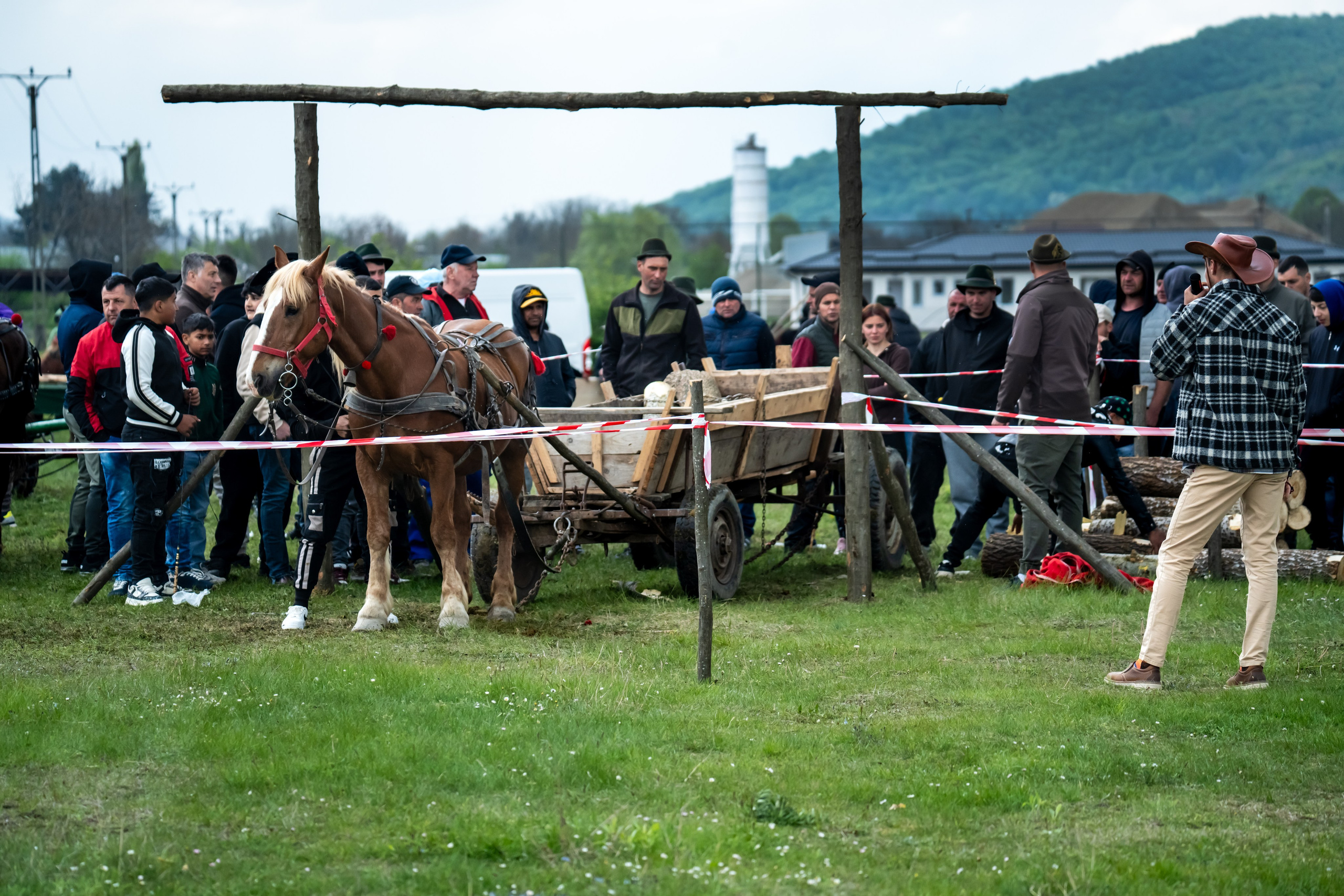 Concurs Ecvestru Vărbilău ediția a 4-a. Mihai Alexandra Events