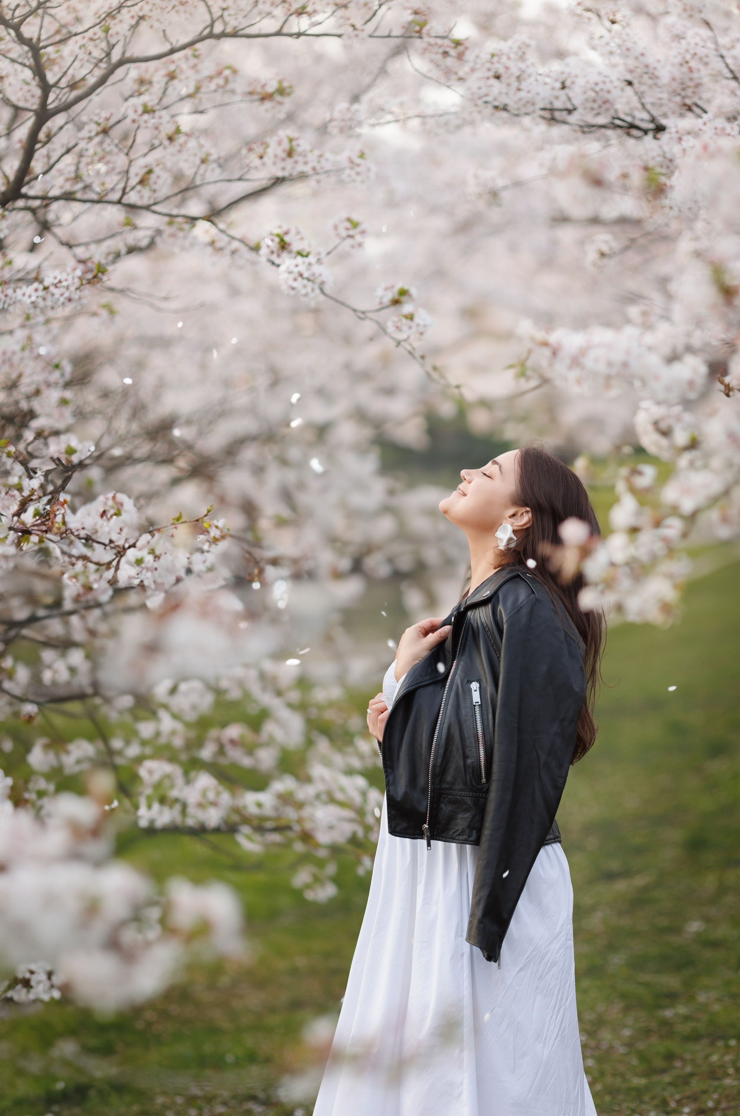 Нежное цветение сакуры. Family photographer in Vilnuis Svetlana Naumova