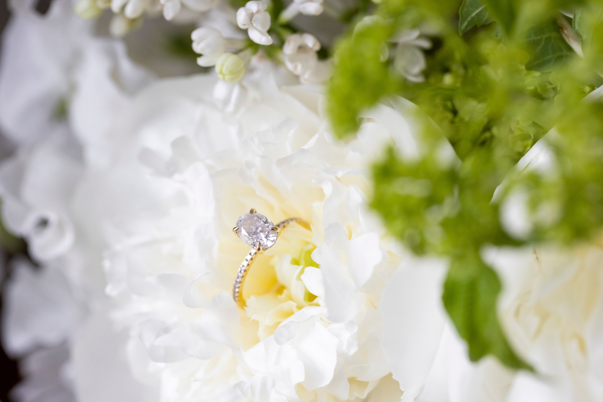 Chelsea and Leopoldo, The Skylark Manor, NJ. Wedding Photo & Video