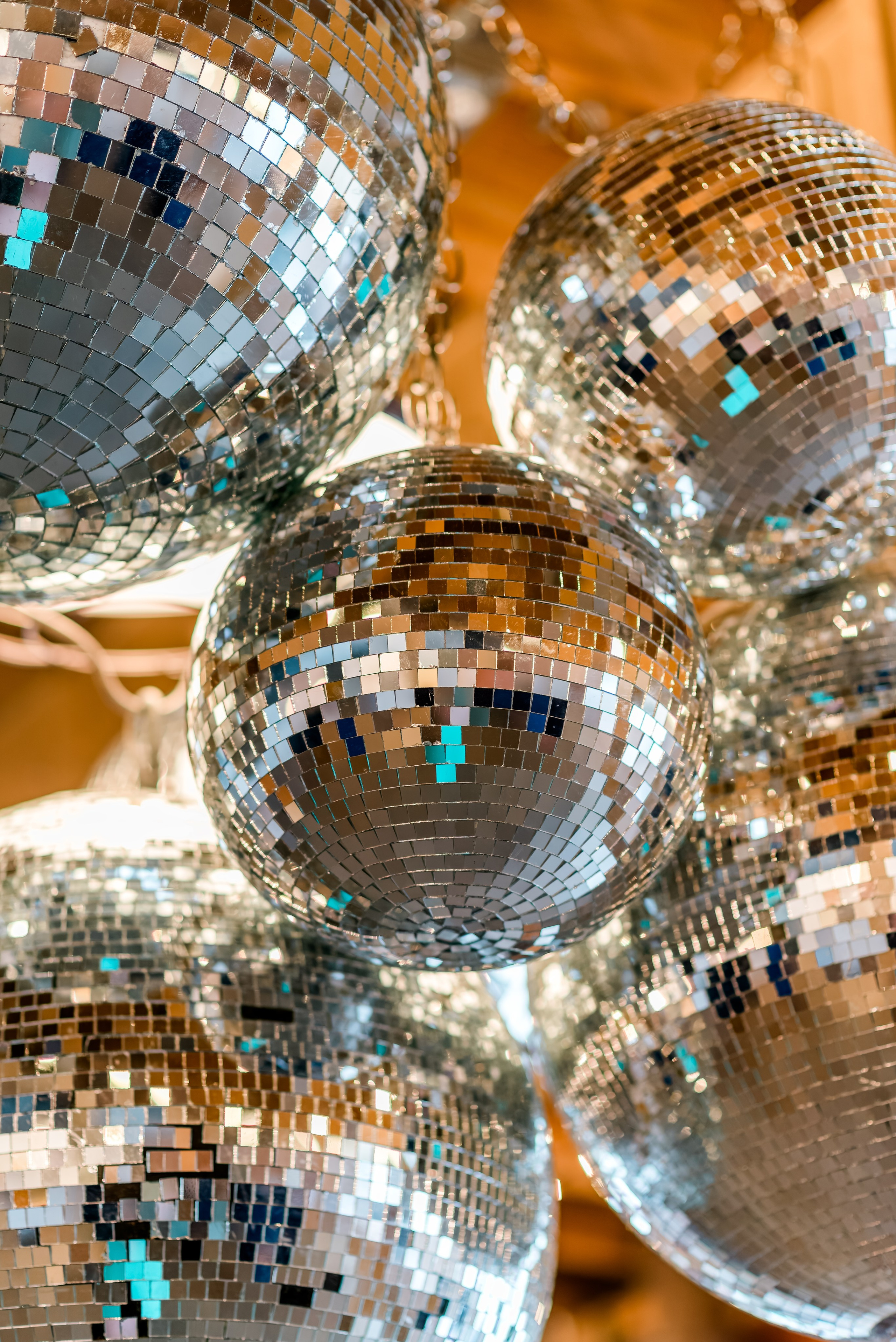 Bold & Eclectic Wedding at The Cheney Place | Grand Rapids Wedding Photographer. Alexandria Danielle Photography | Fort Wayne & Indianapolis Wedding Photographer