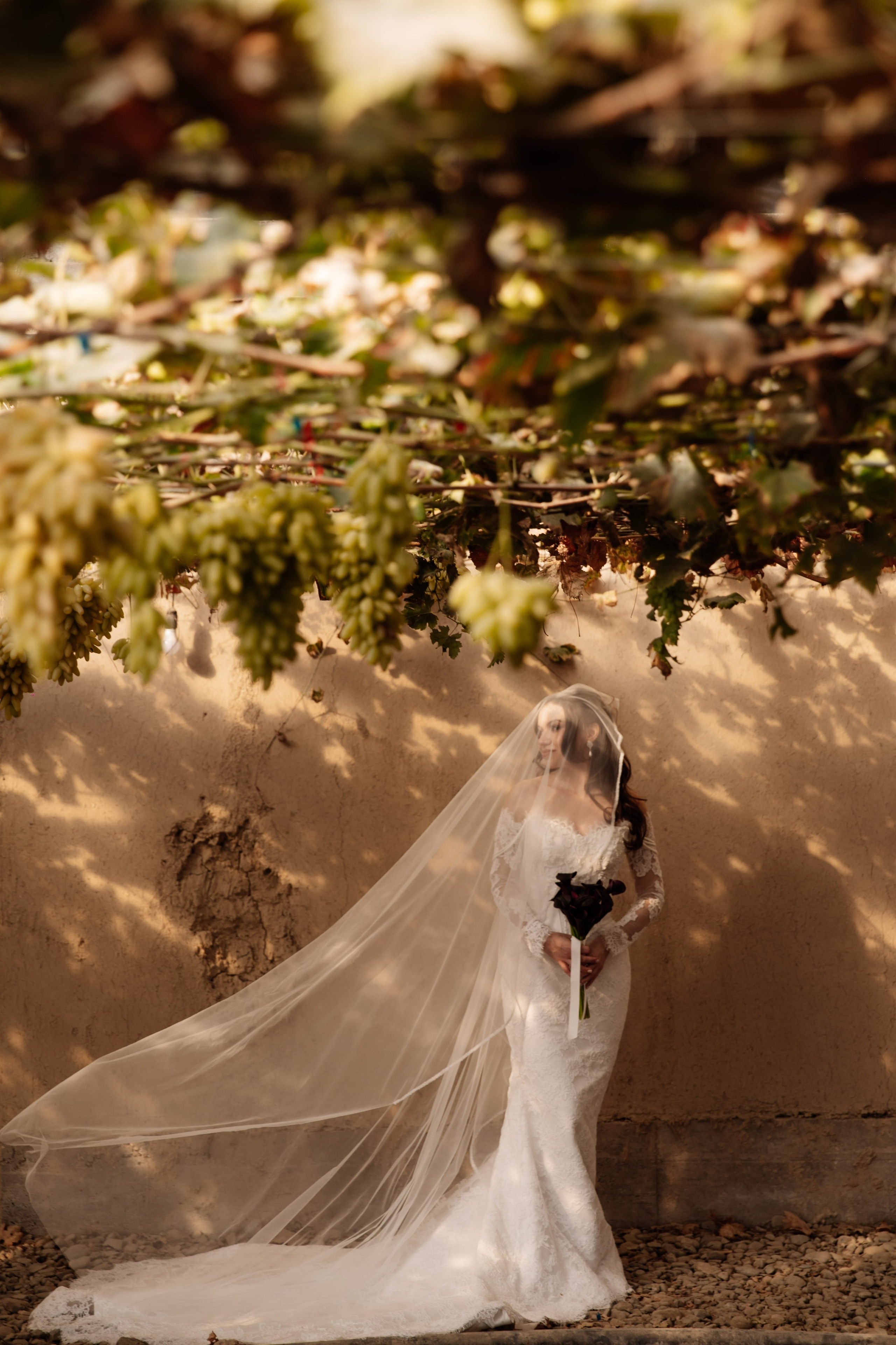 Свадьба на винодельне. Фотограф Вероника Яцына в Ташкенте