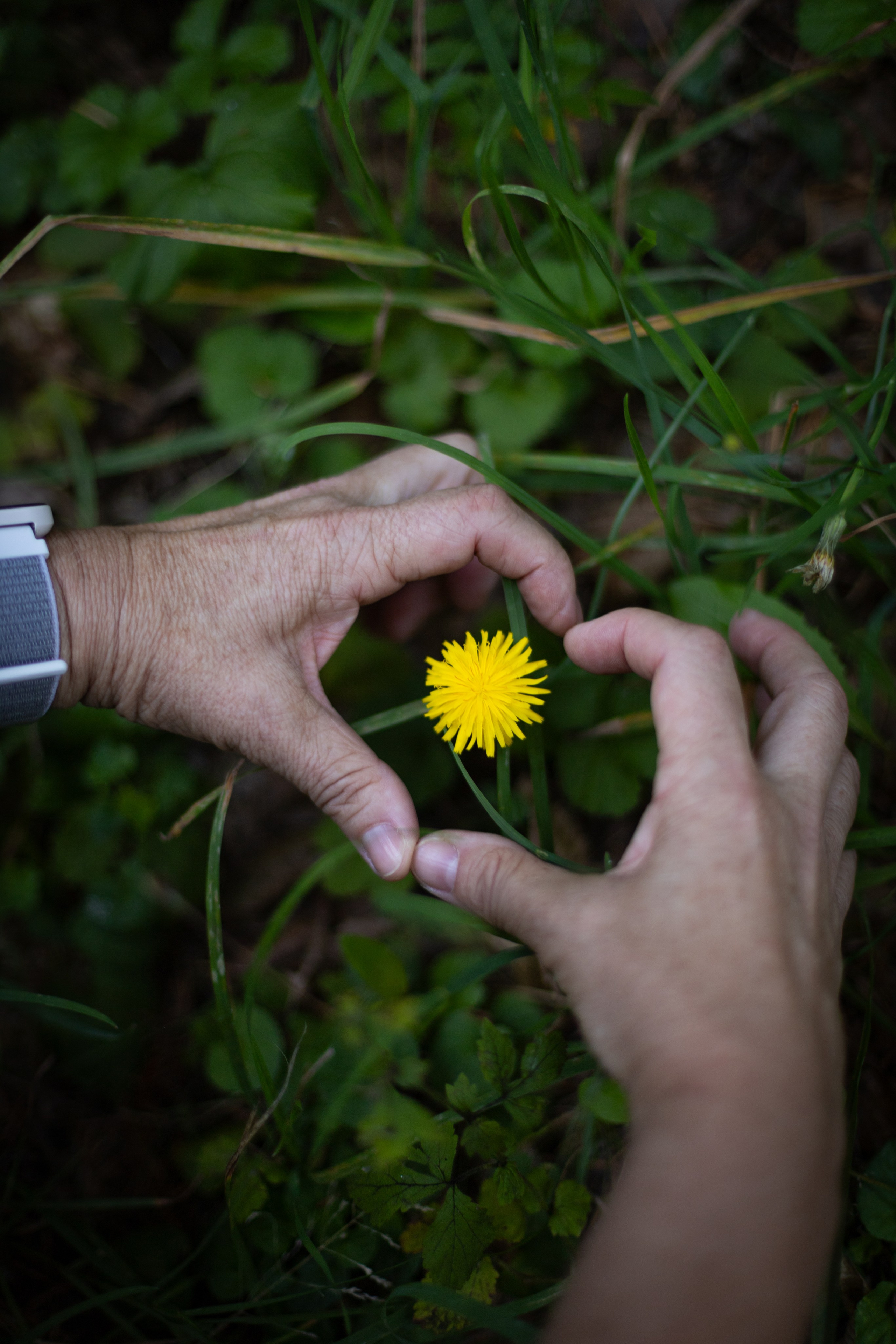 Mit Oma. PHOTOgrapher Germany MARBURG