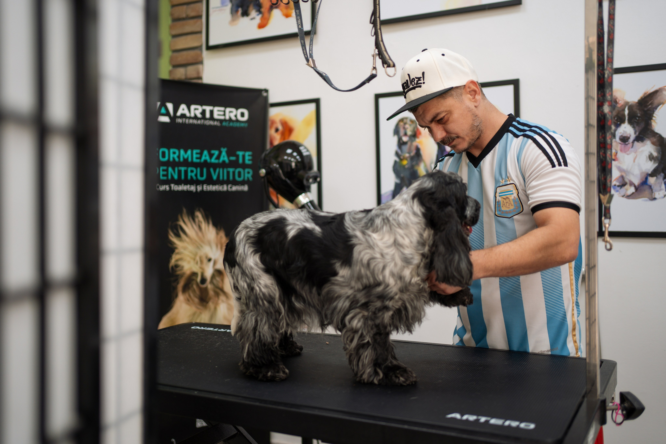 PetGroom Timisoara. Cozac Cristian Photographer