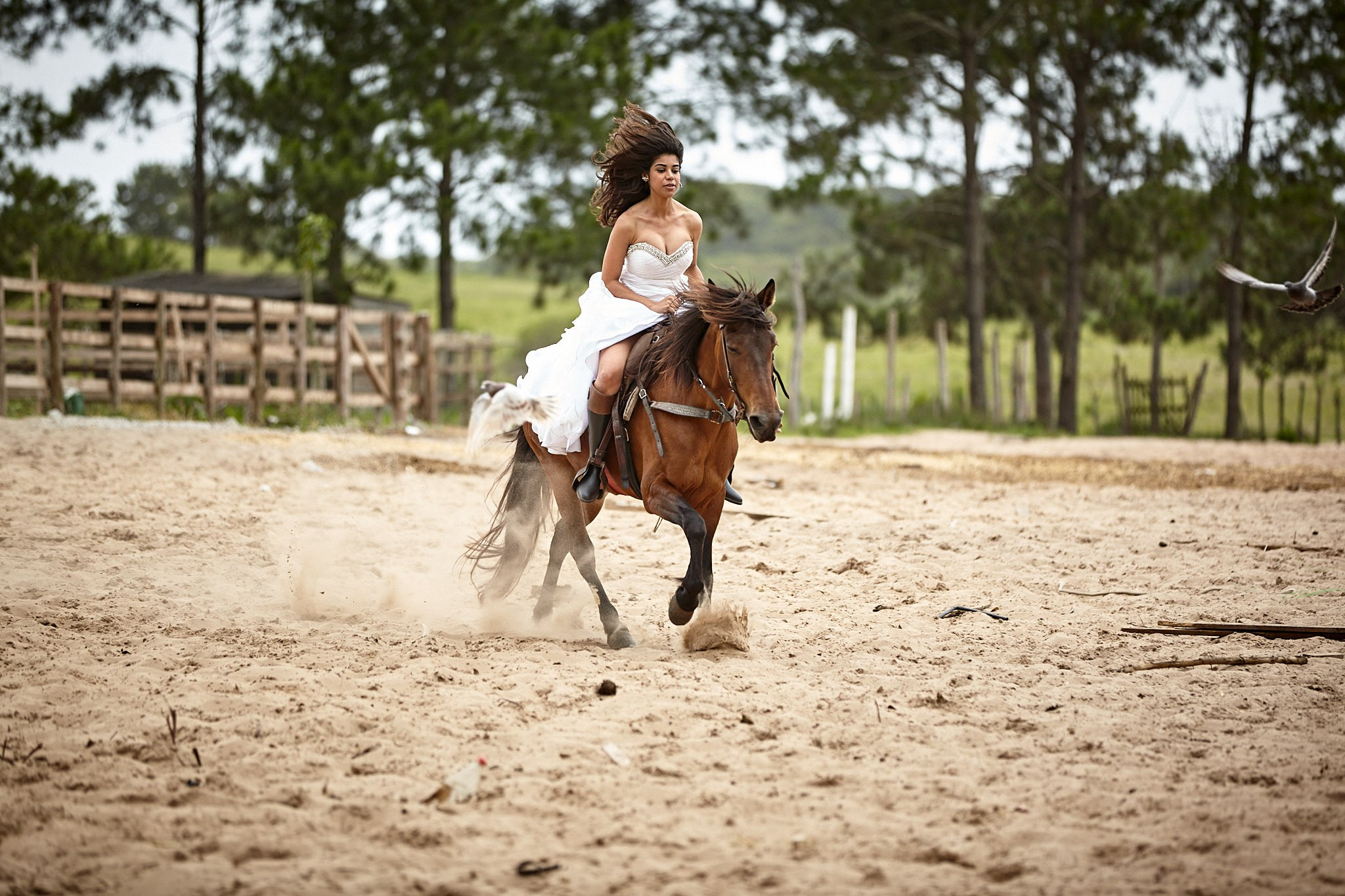 Trash The Dress Cynthia e Deocelso. Fotógrafo de casamentos em Florianópolis
