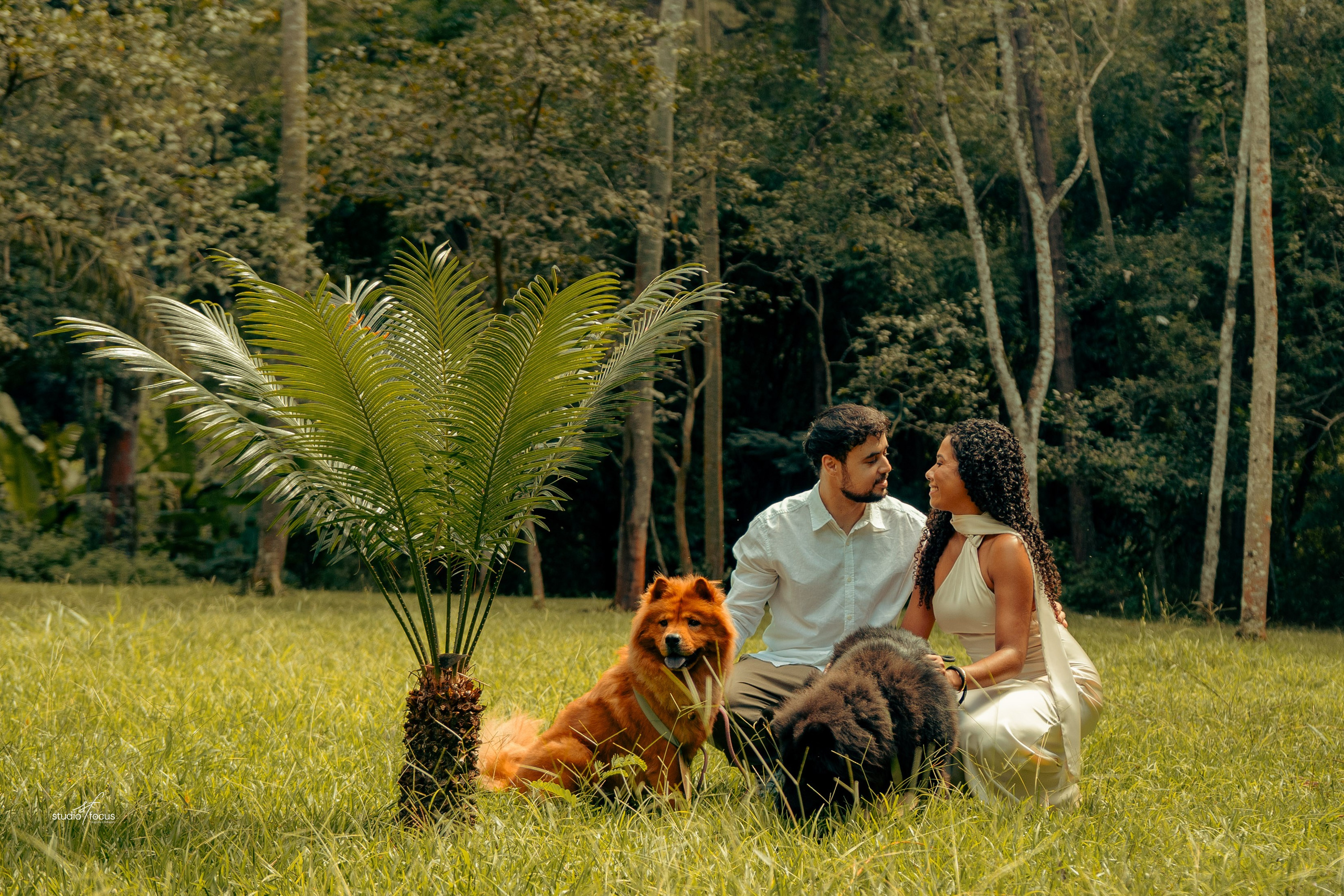 Pré-Wedding com pets