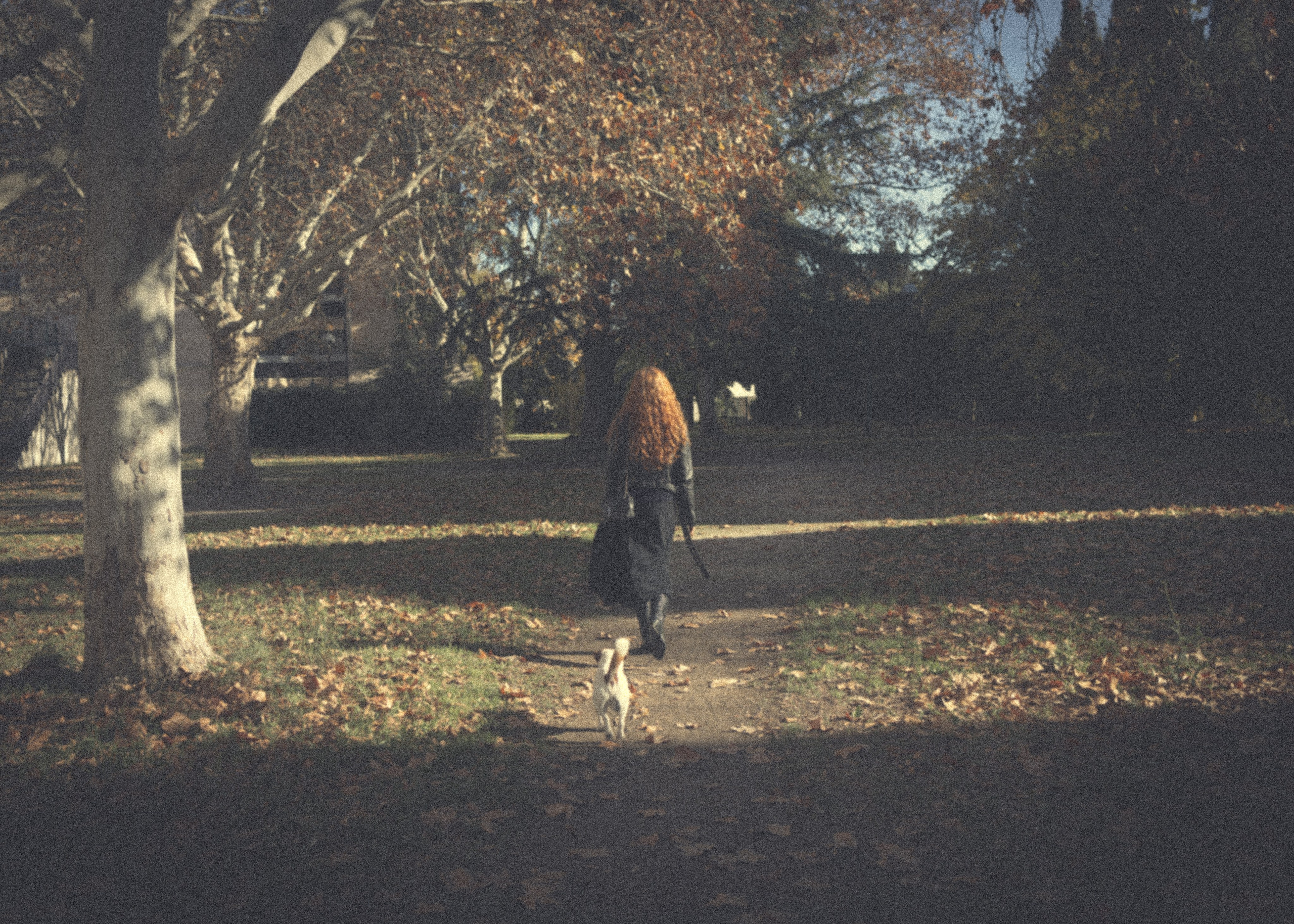 Histoires d’amour, séances photos de famille et de mariage en France