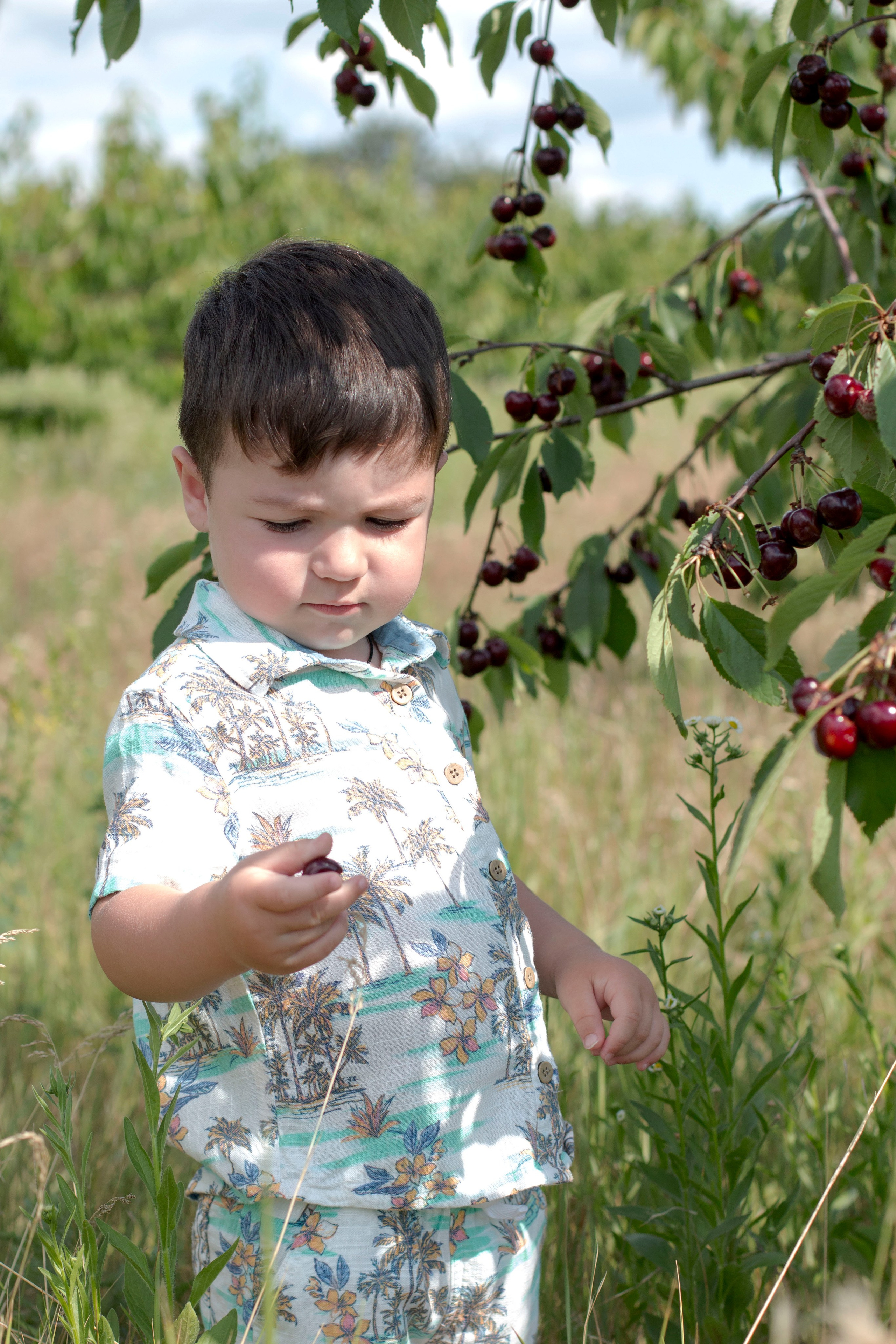 Черешня. Детский и семейный фотограф в г. Бельцы