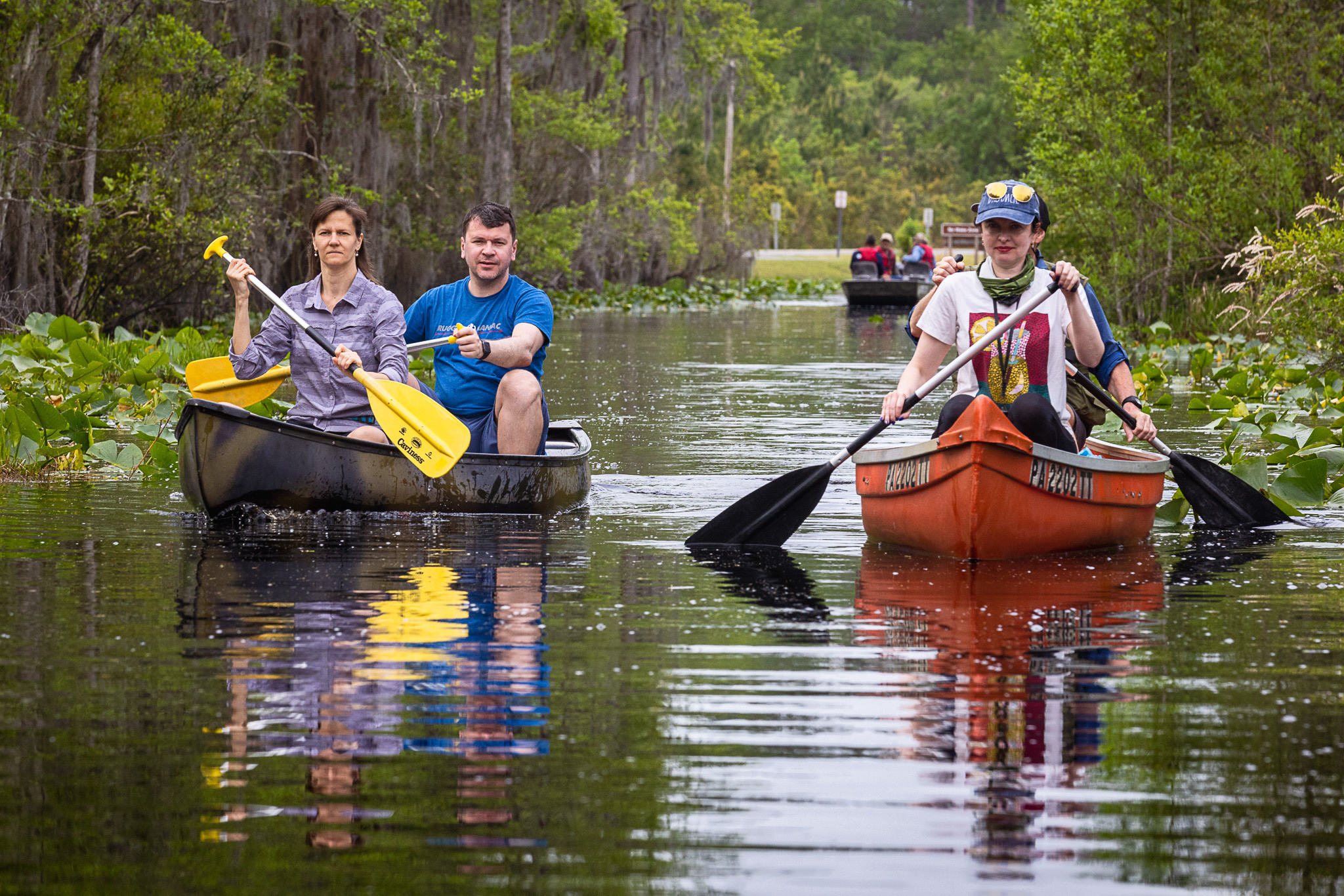 Cypresses, Springs, Birds and Alligators. Pet, Senior, Landscape, portrait studio, photographer in Miami and Sou