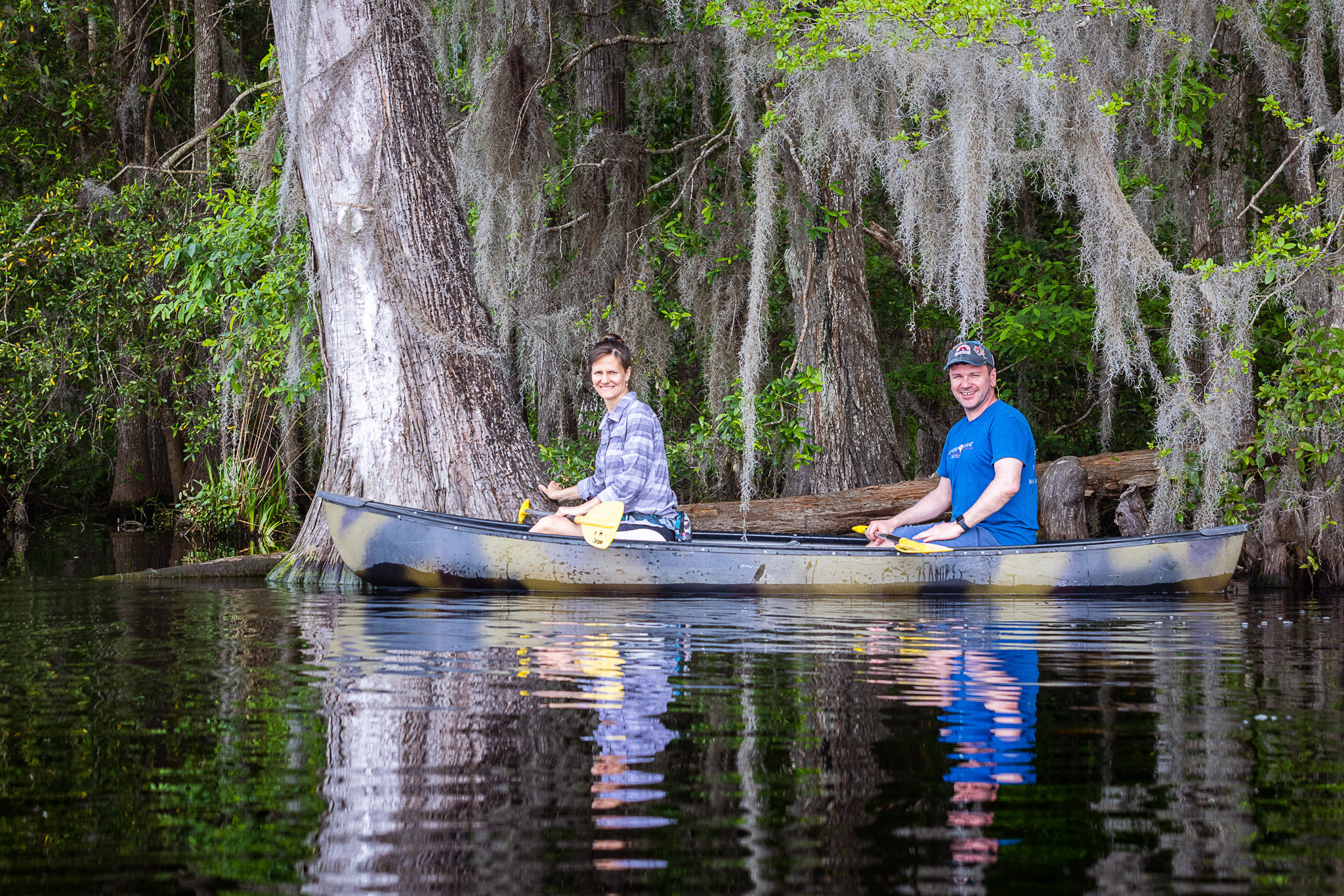 Cypresses, Springs, Birds and Alligators. Pet, Senior, Landscape, portrait studio, photographer in Miami and Sou