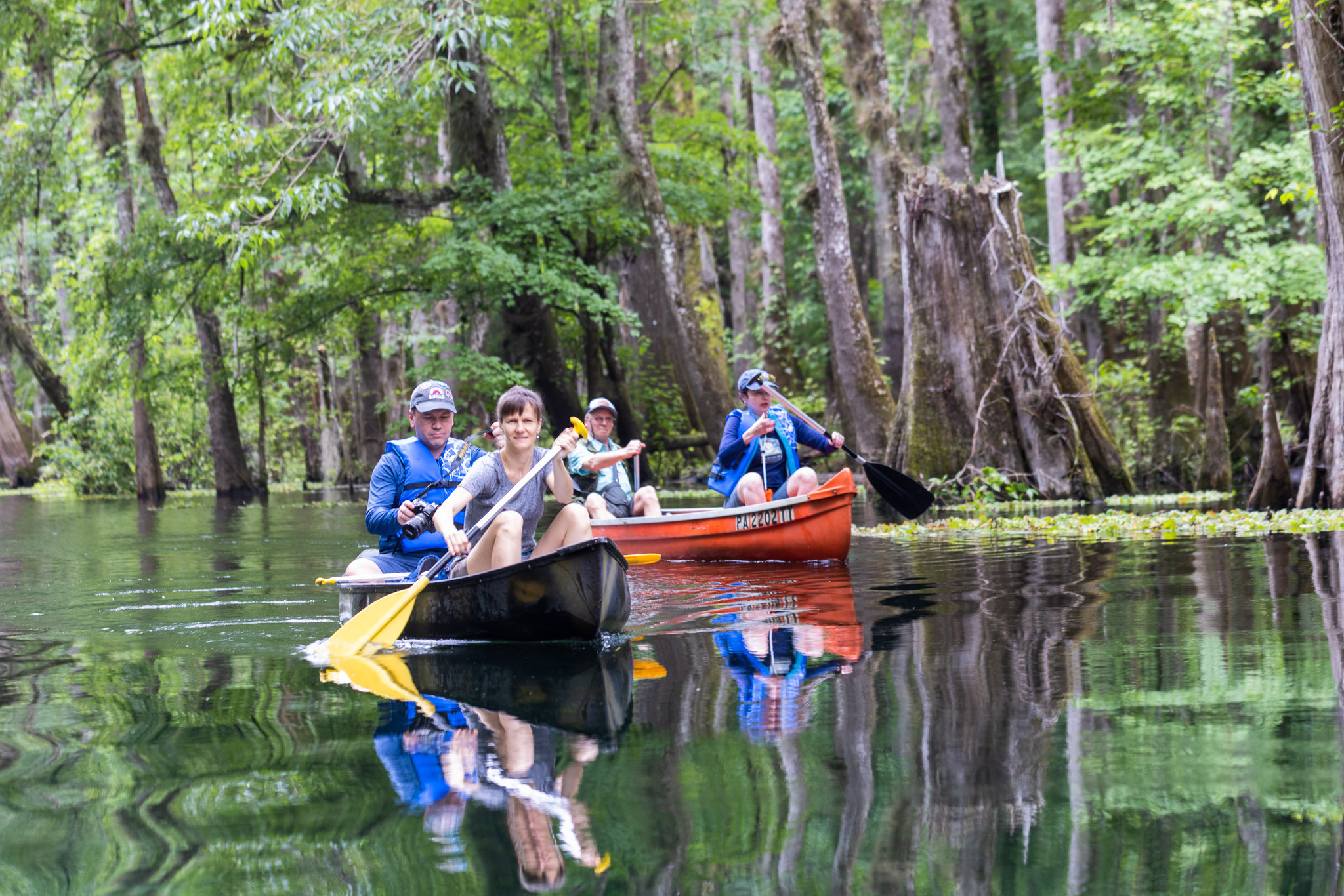 Cypresses, Springs, Birds and Alligators. Pet, Senior, Landscape, portrait studio, photographer in Miami and Sou