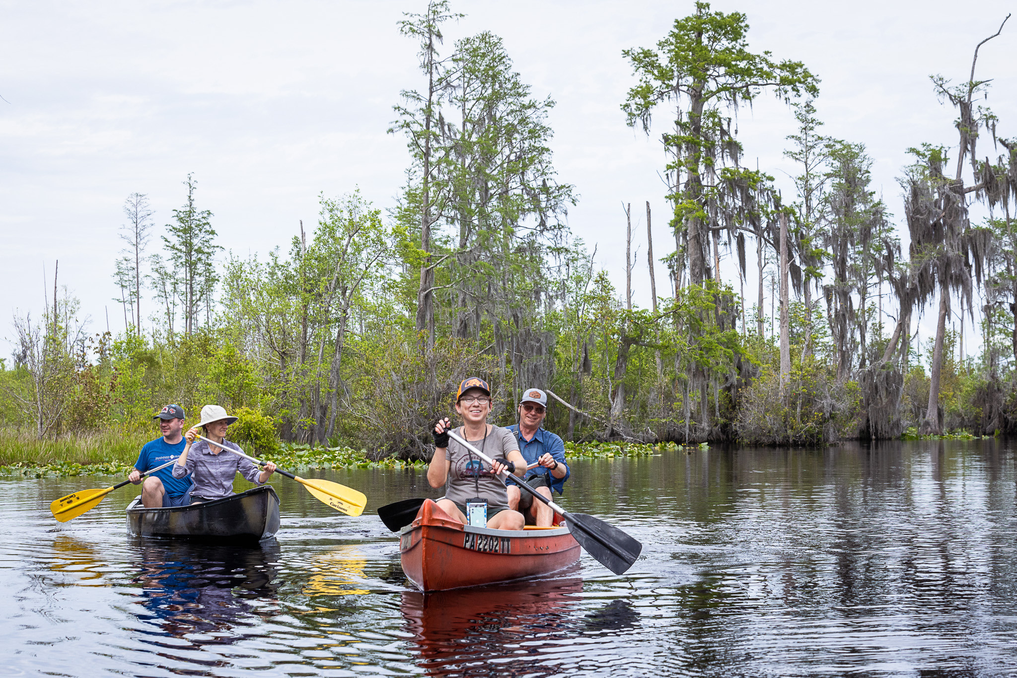 Cypresses, Springs, Birds and Alligators. Pet, Senior, Landscape, portrait studio, photographer in Miami and Sou