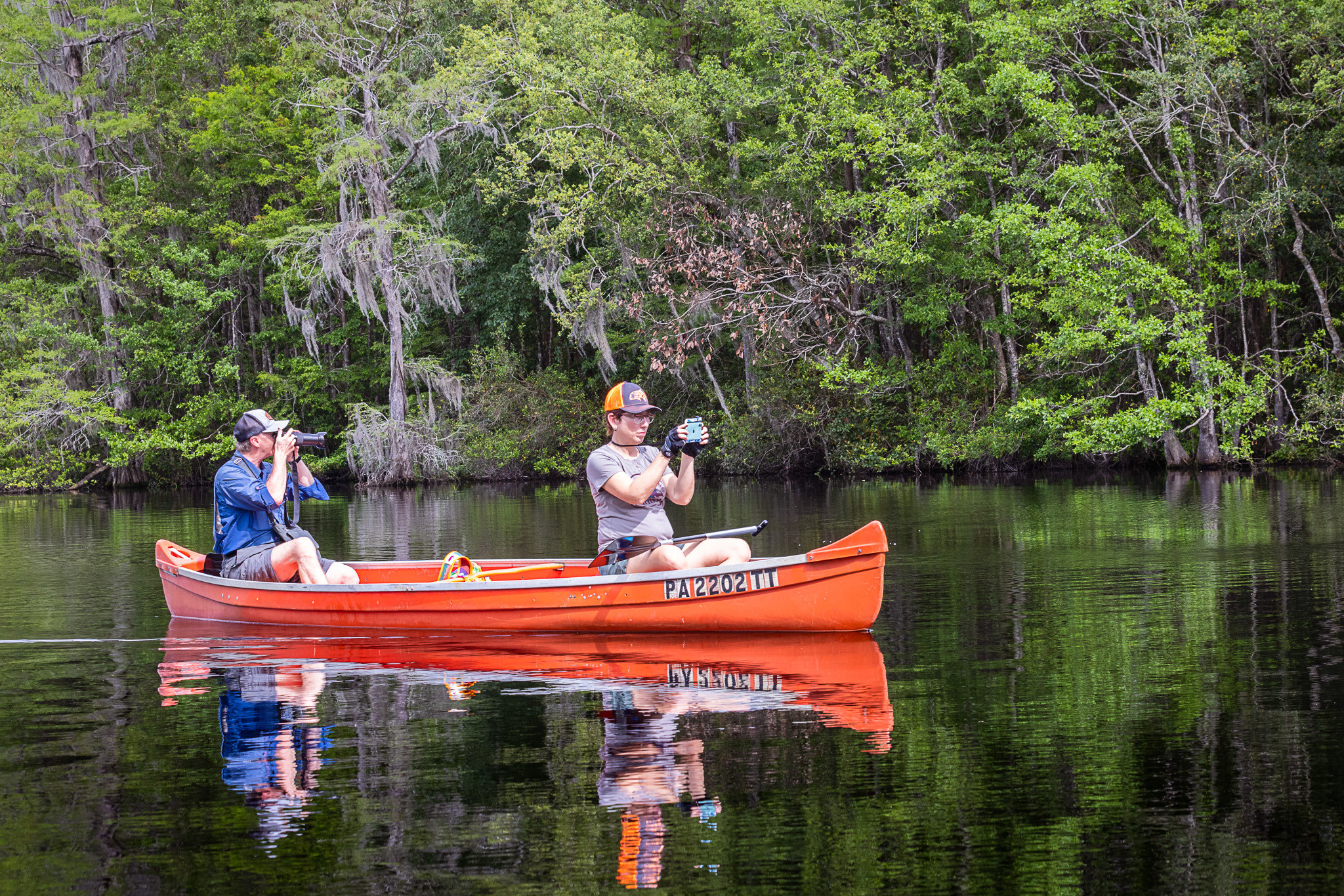 Cypresses, Springs, Birds and Alligators. Pet, Senior, Landscape, portrait studio, photographer in Miami and Sou