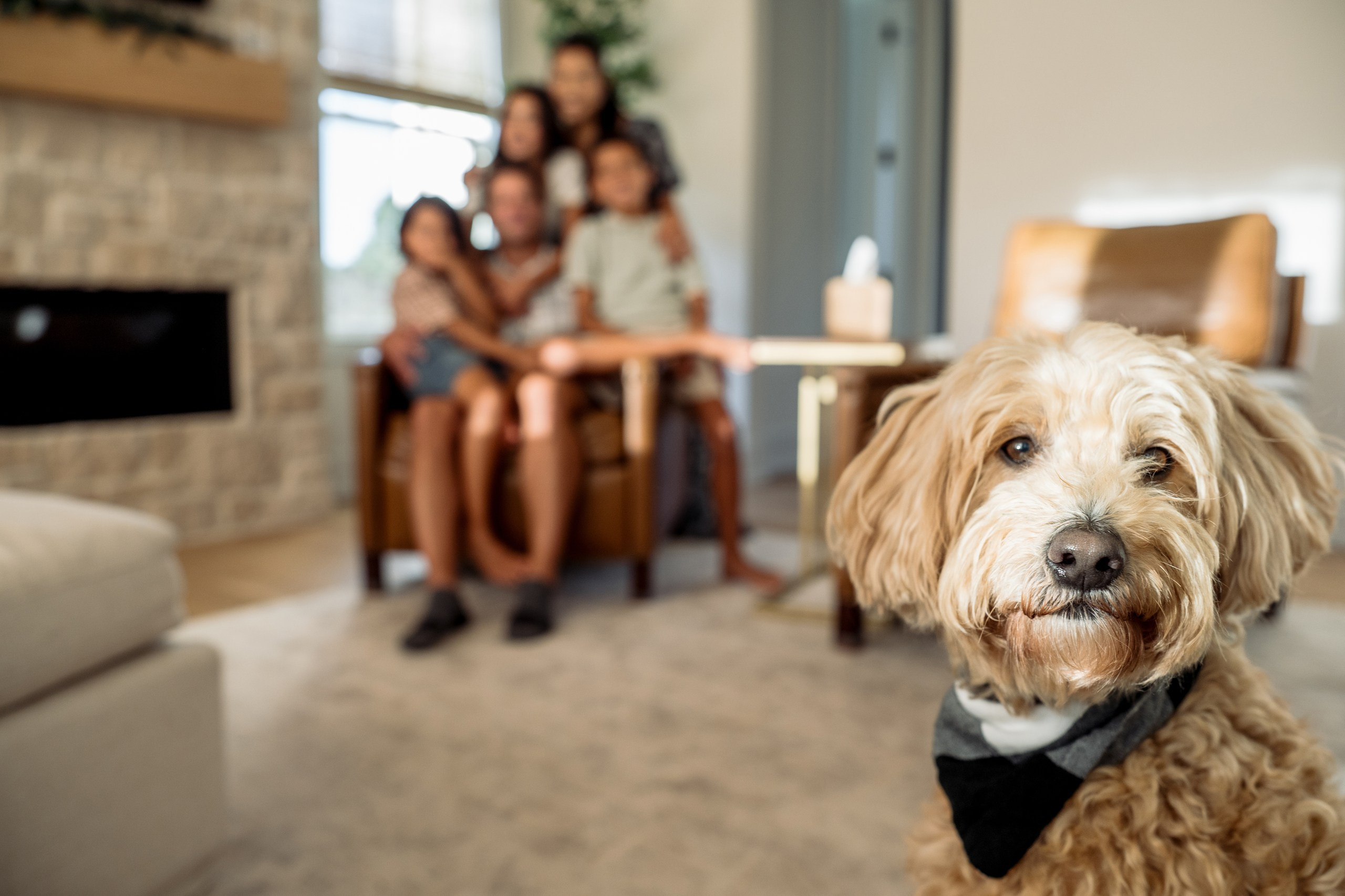 Juyoun, Brian, Jia, Camden, Myles. Alisa Tant — Family and newborn photographer Bucks County, Montgomery county, Philadelphia, NJ