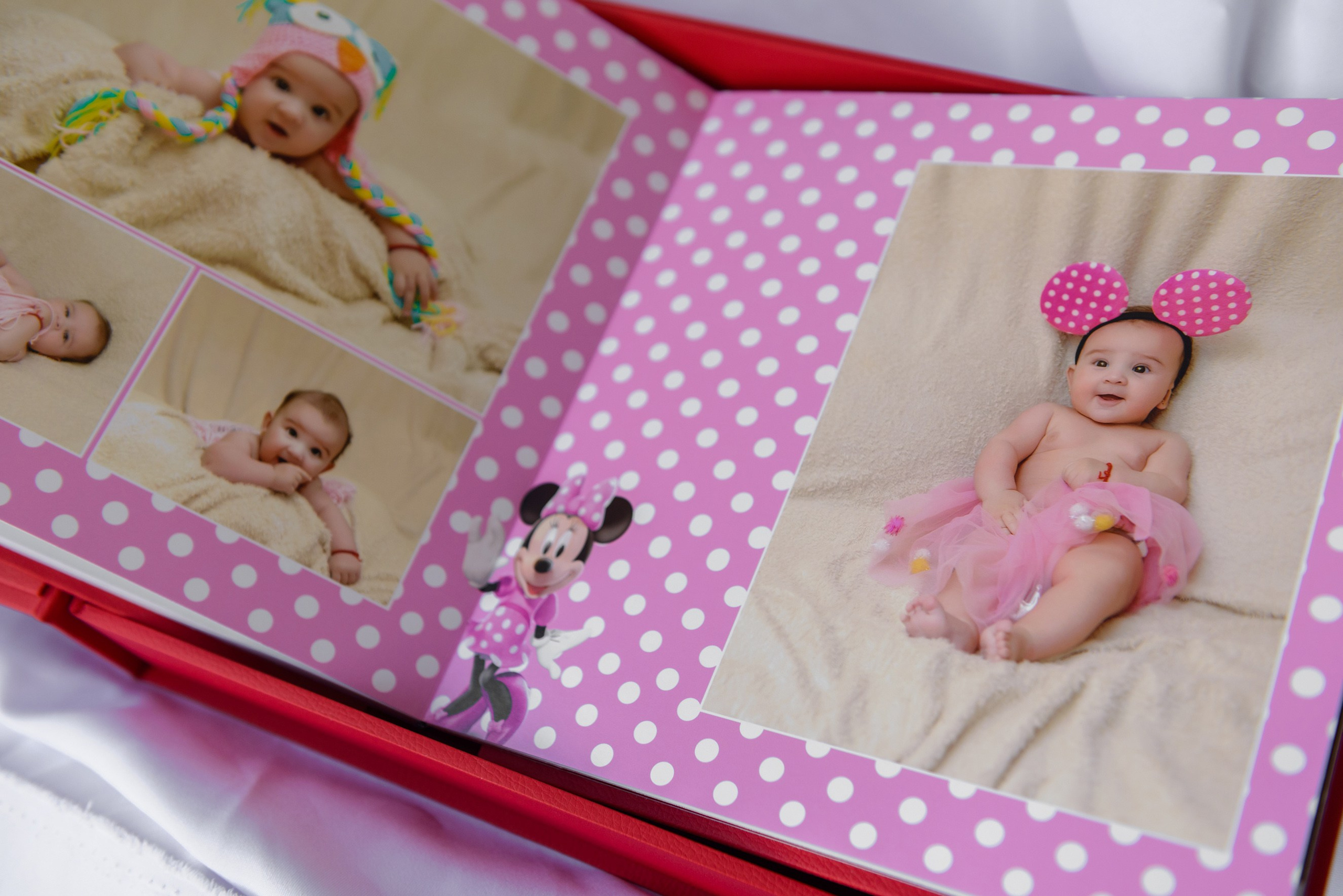 Albume Bogdan Palenciuc