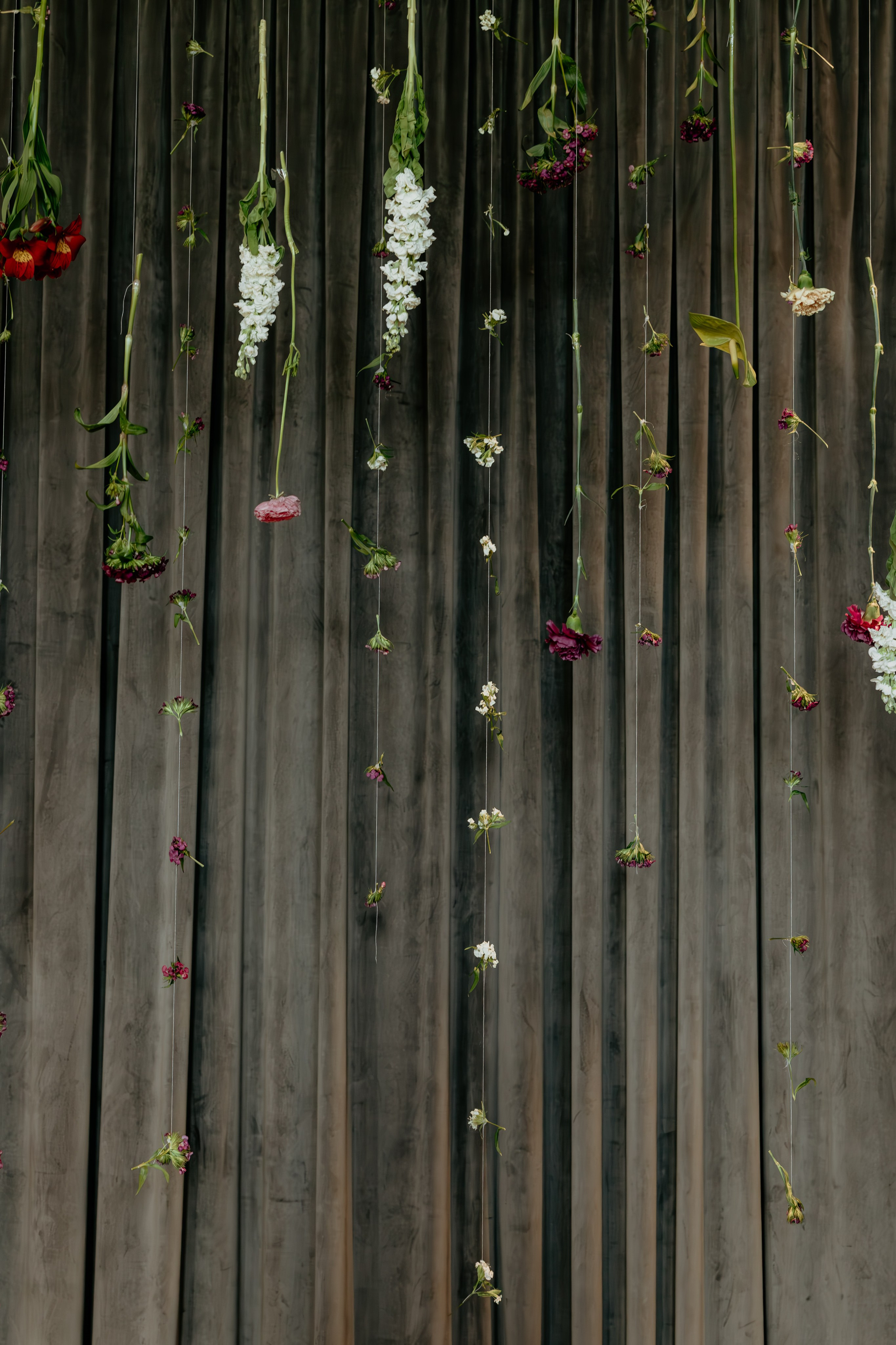 D&V Wedding. Family and children photographer in Belgrade Milja Ciric