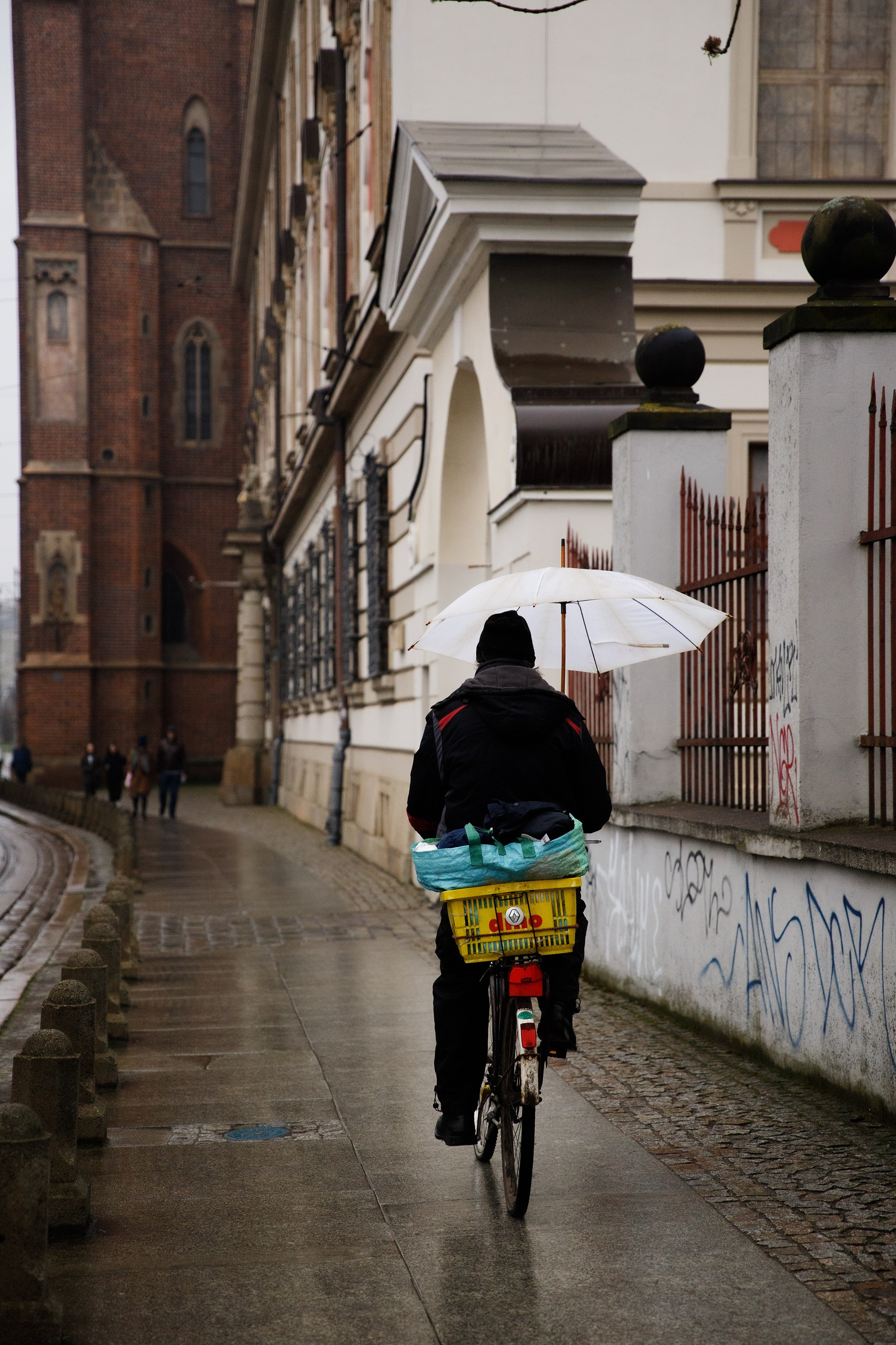 Wroclaw | the best ones. Kaja | fotograf psów we Wrocławiu