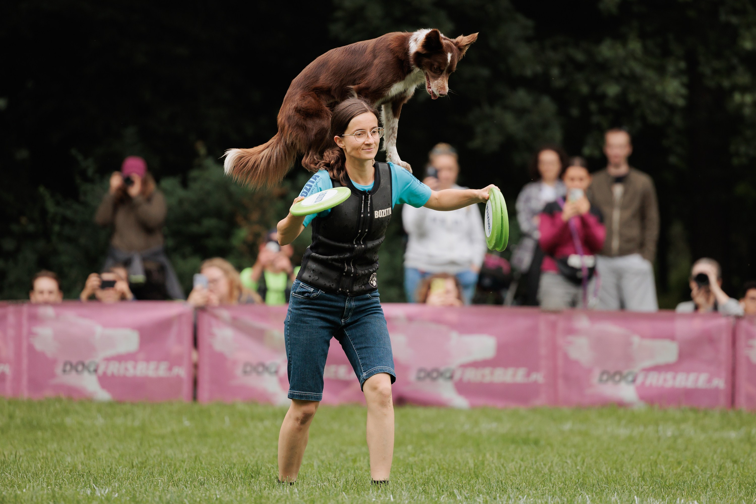 Latające psy, Wrocław'25. Kaja | fotograf psów we Wrocławiu