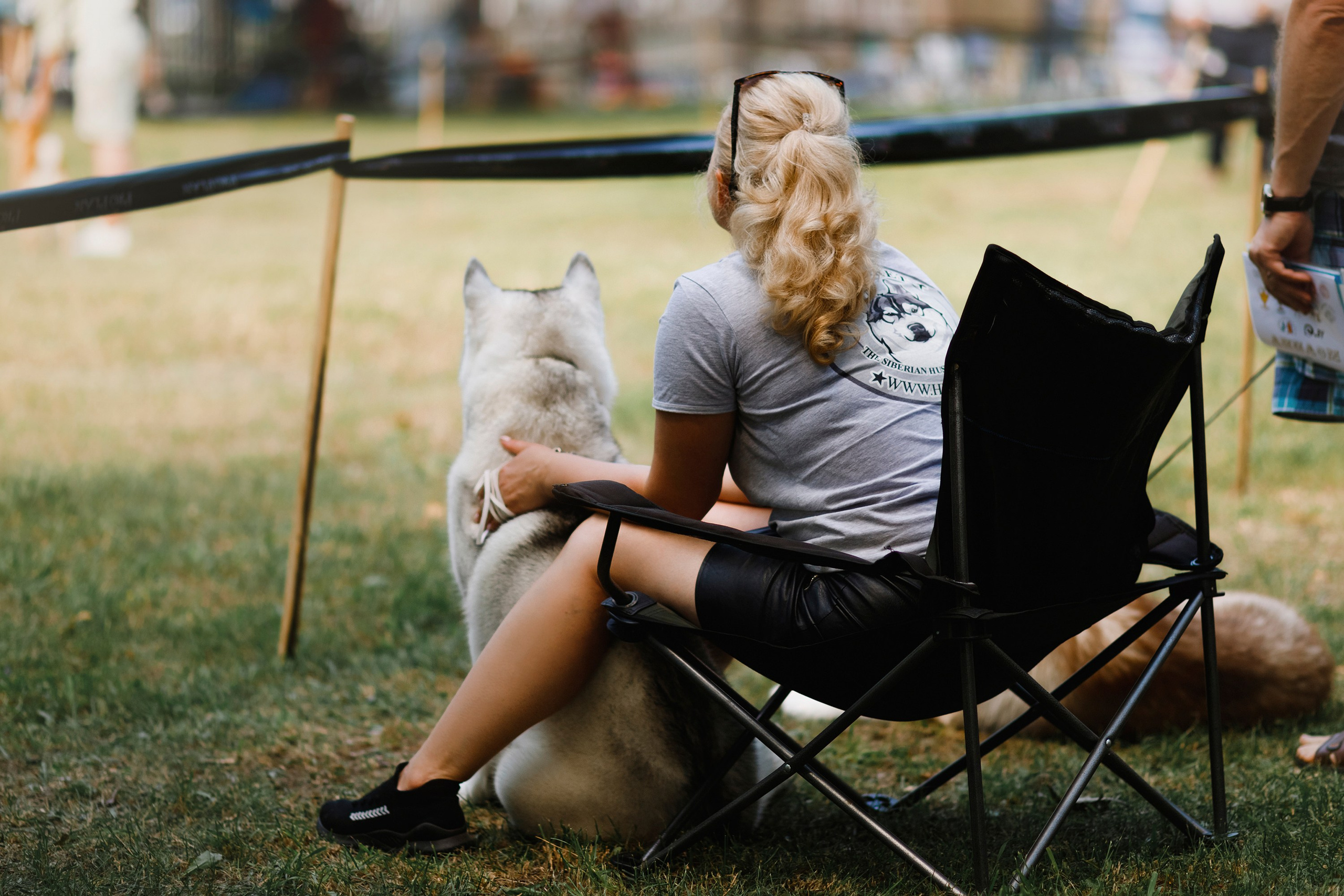 Dog shows | the best ones. Kaja | fotograf psów we Wrocławiu