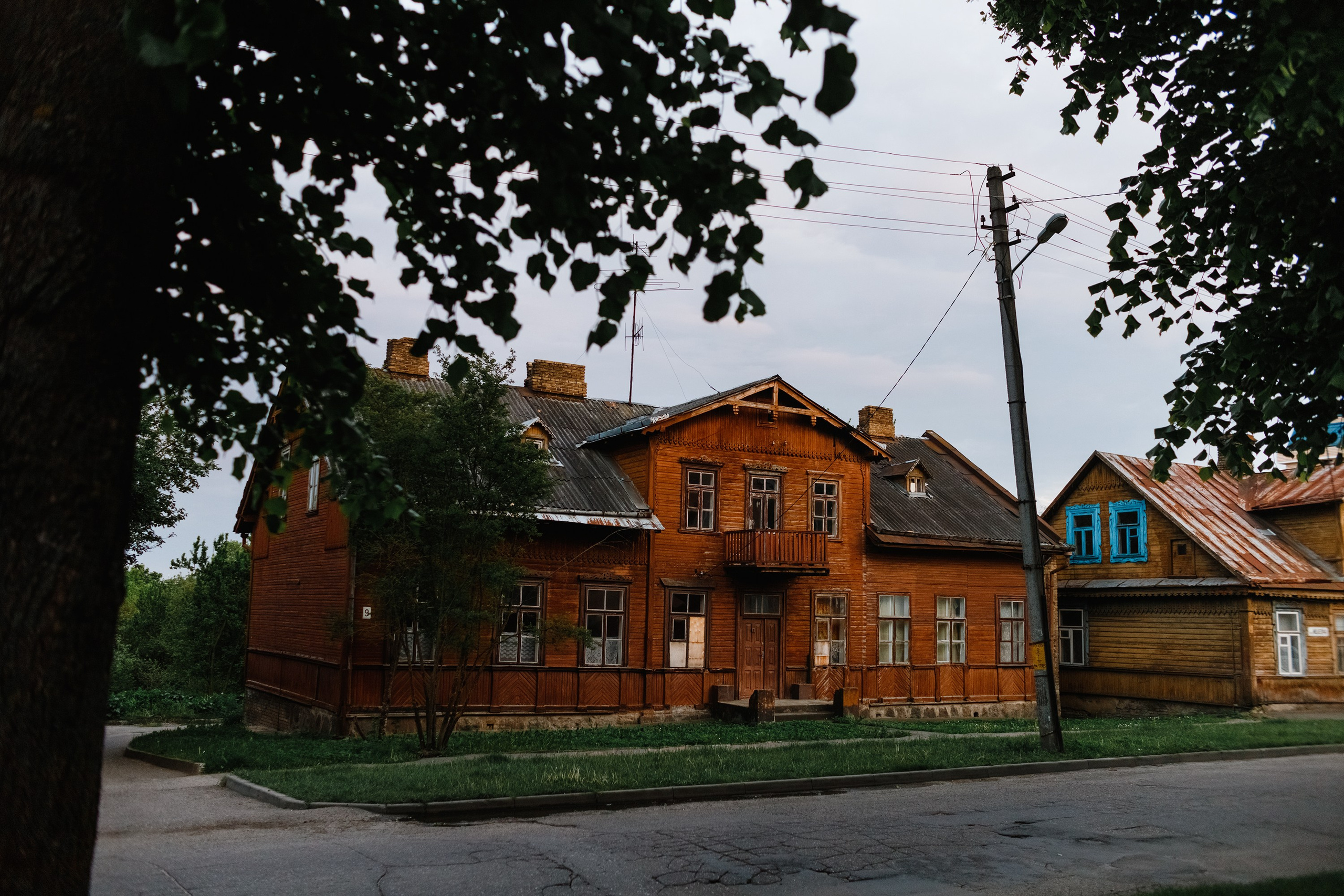 Grodno. Kaja | fotograf we Wrocławiu | ludzie i psy