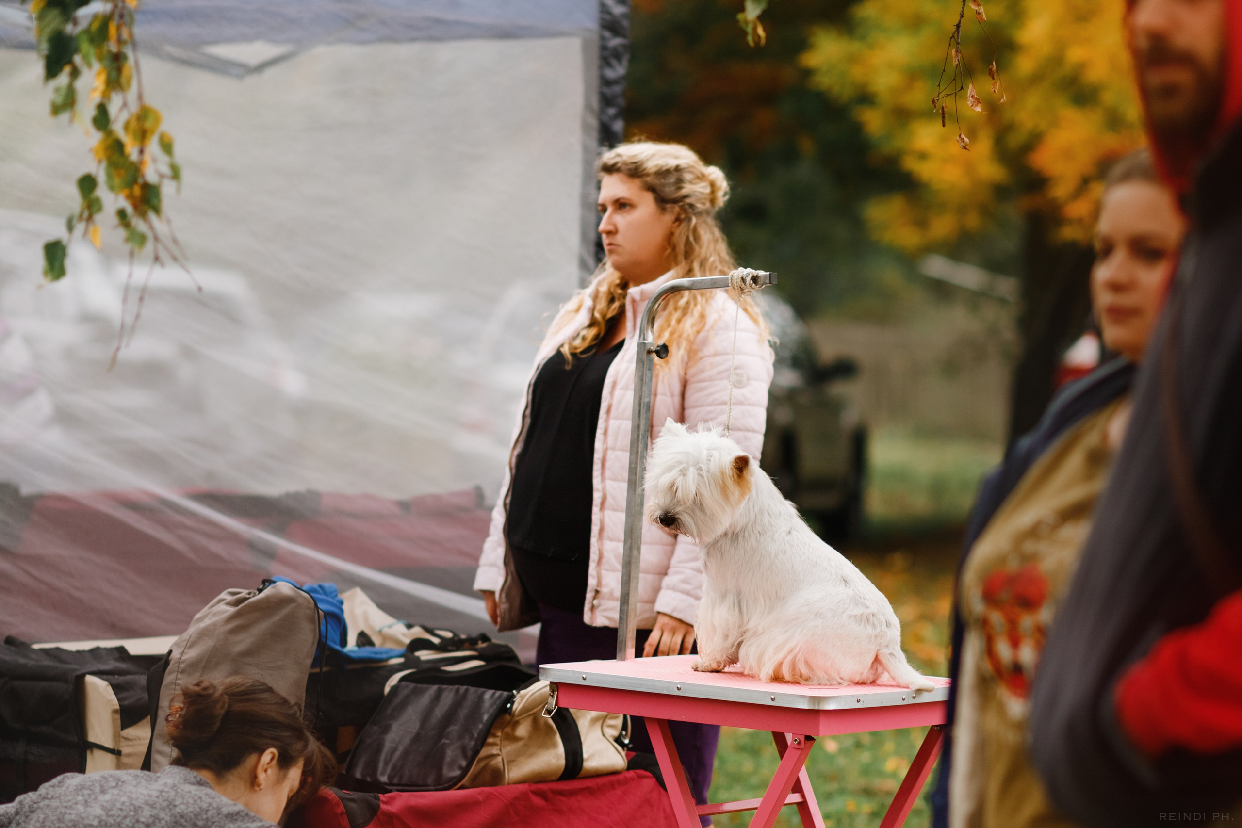 «Argus» dog show in Brest. Kaja | fotograf we Wrocławiu | ludzie i psy