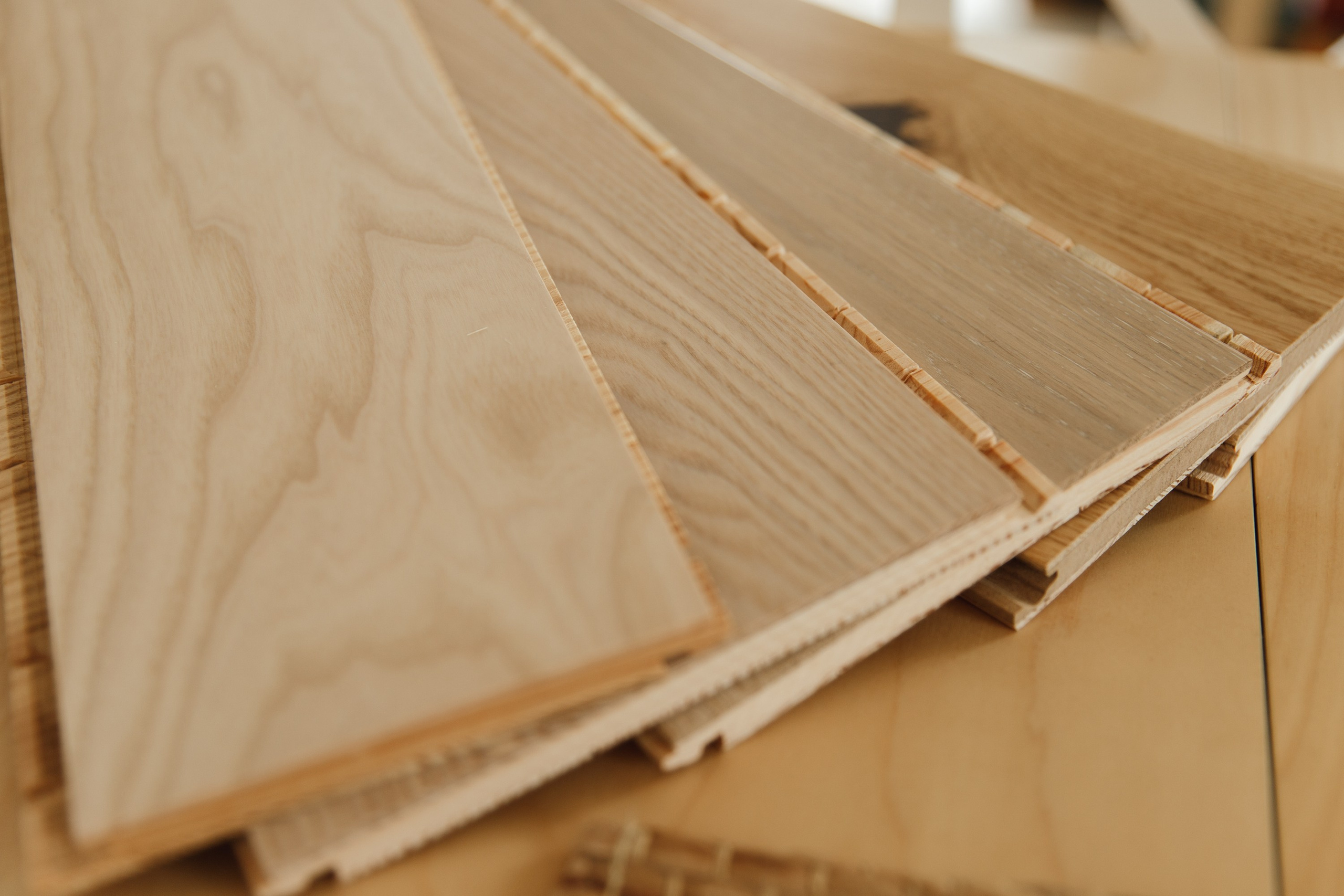 Agata | interior design. Kaja | fotograf we Wrocławiu | ludzie i psy