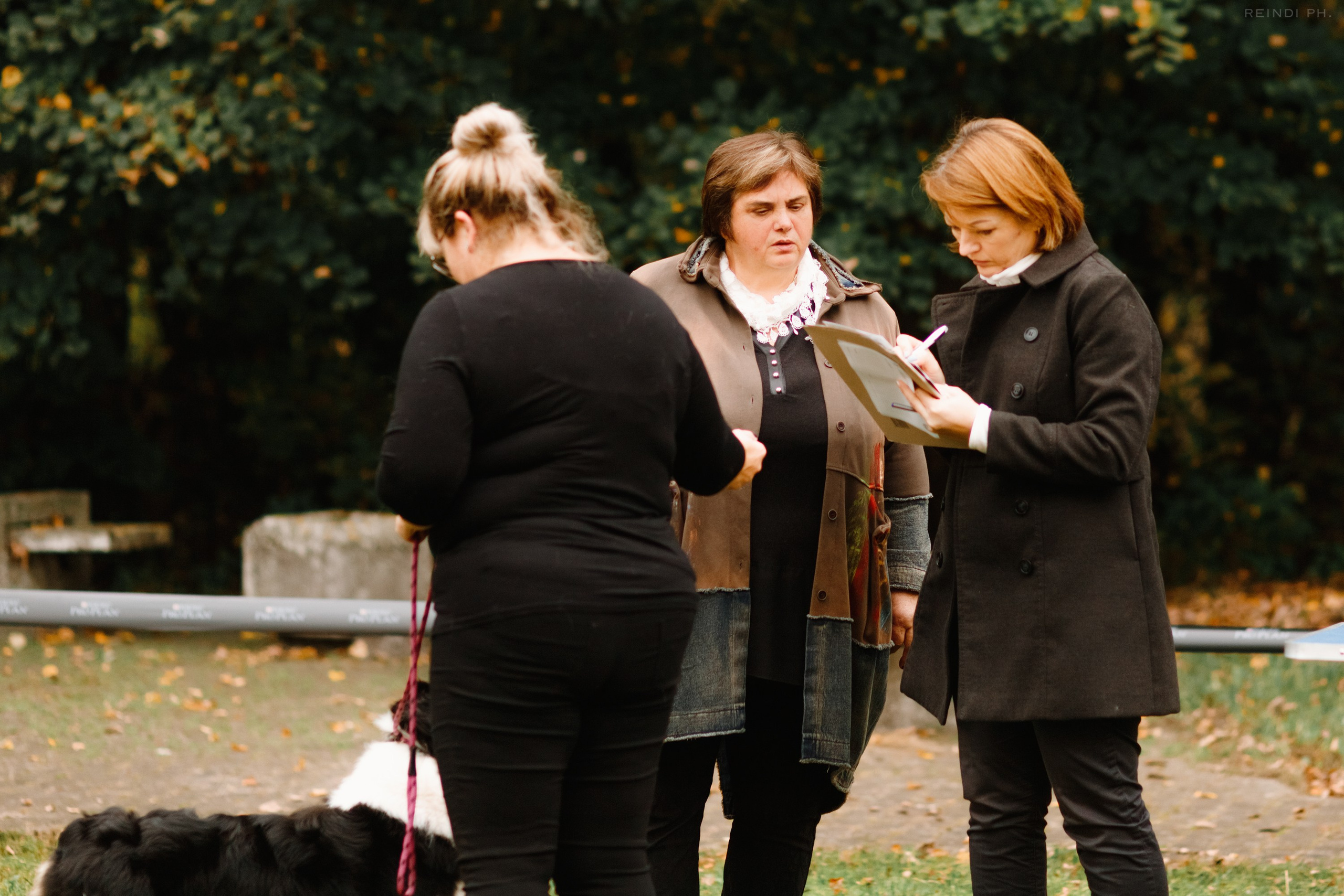 «Argus» dog show in Brest. Kaja | fotograf we Wrocławiu | ludzie i psy