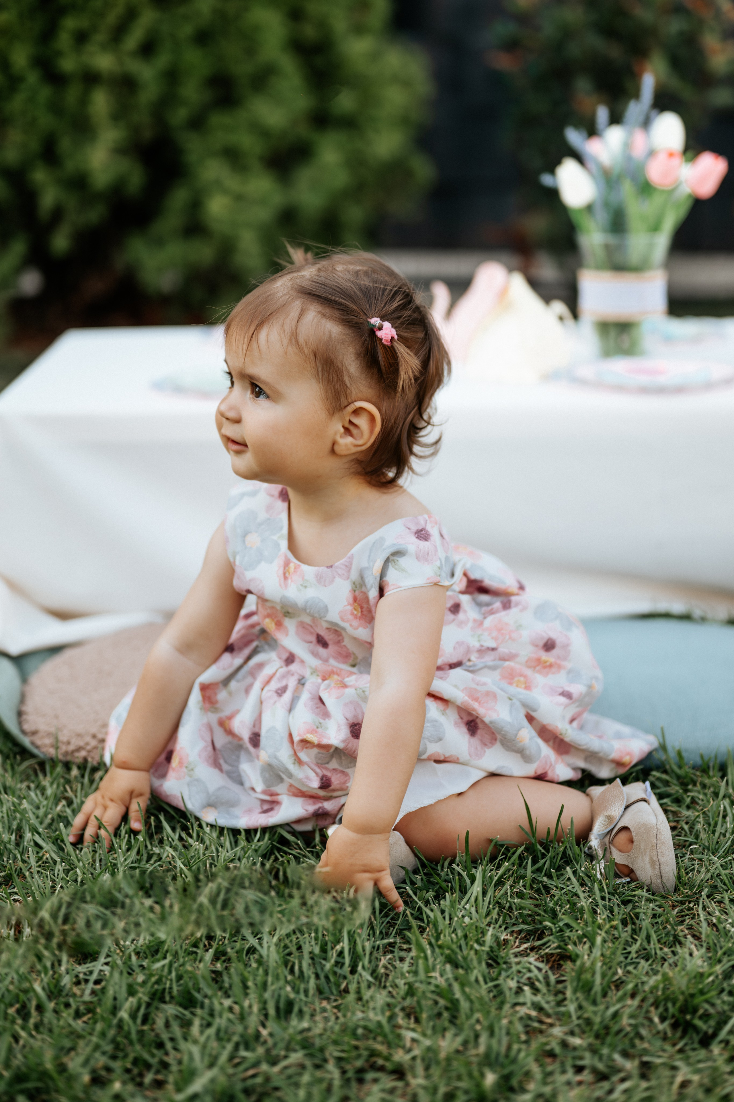 Sofia - 1. rođendan. Dečiji i porodični fotograf