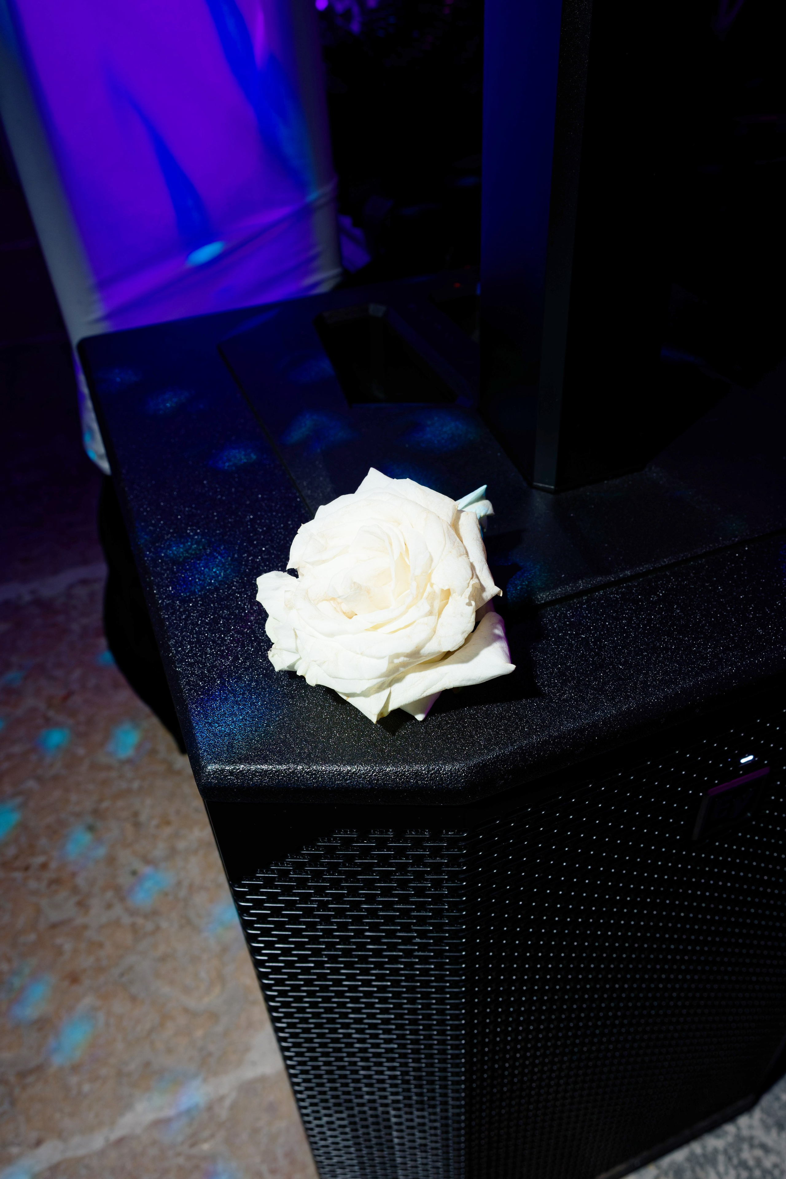 Wedding at Villa Bettoni on Lake Garda