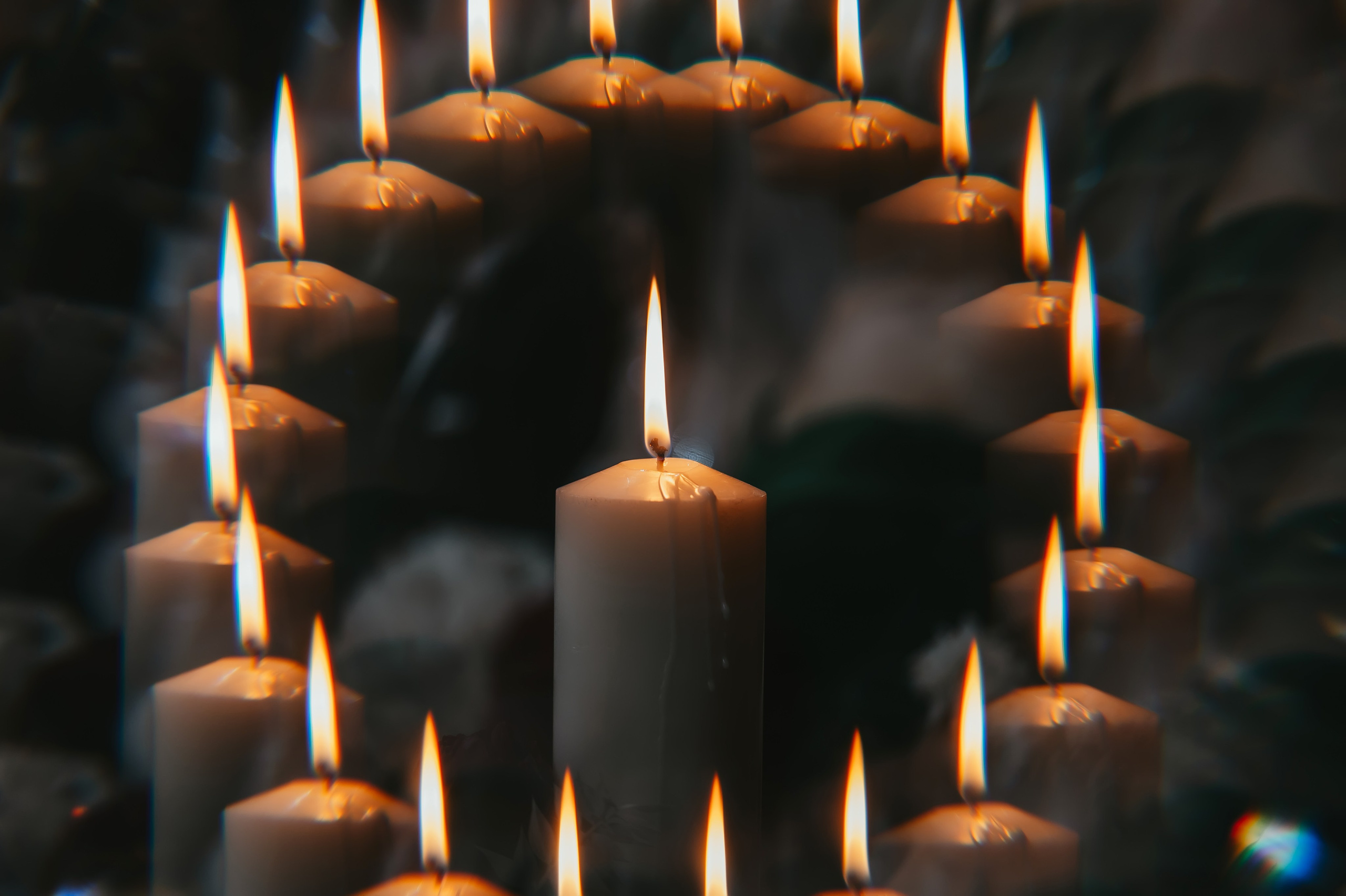 🌿🌼 Roxana & Adrian 🌿🌼. Romeo Dimache — Wedding photographer in Romania